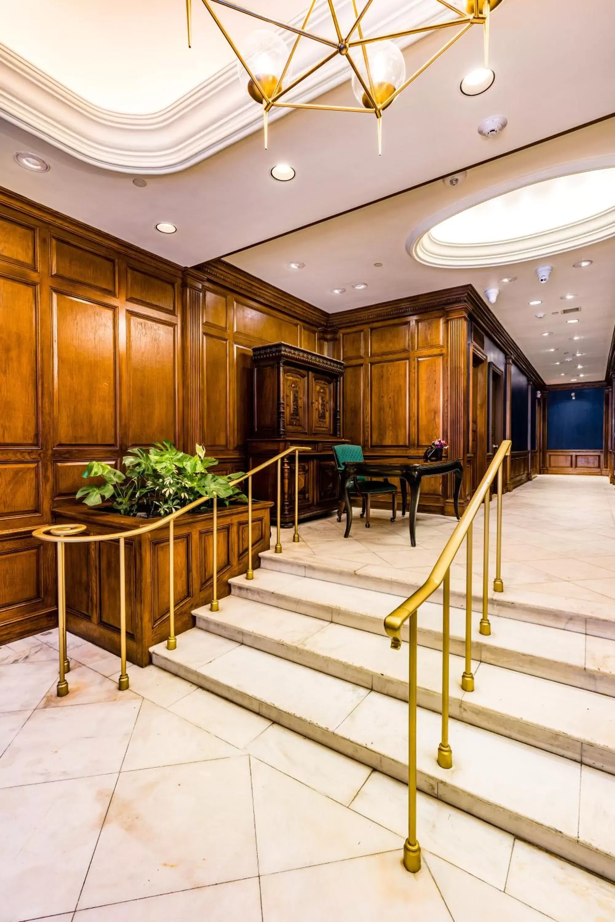 The Alexandre The Alexandre