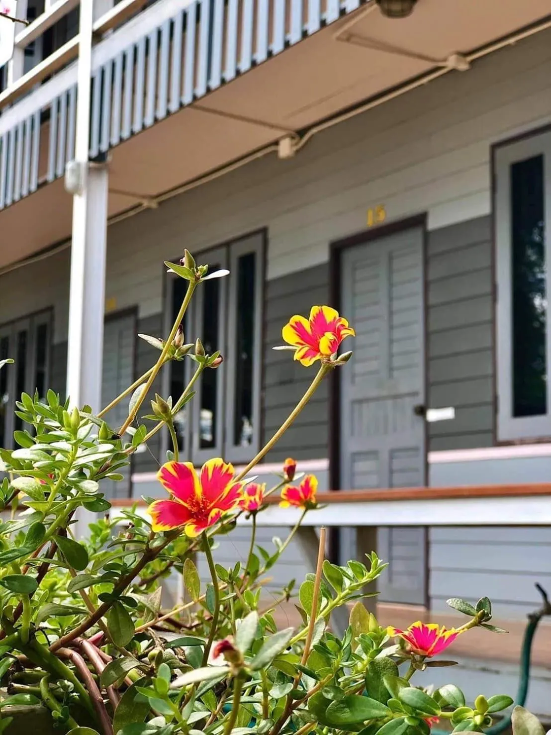 Patio in Prawdao Resort