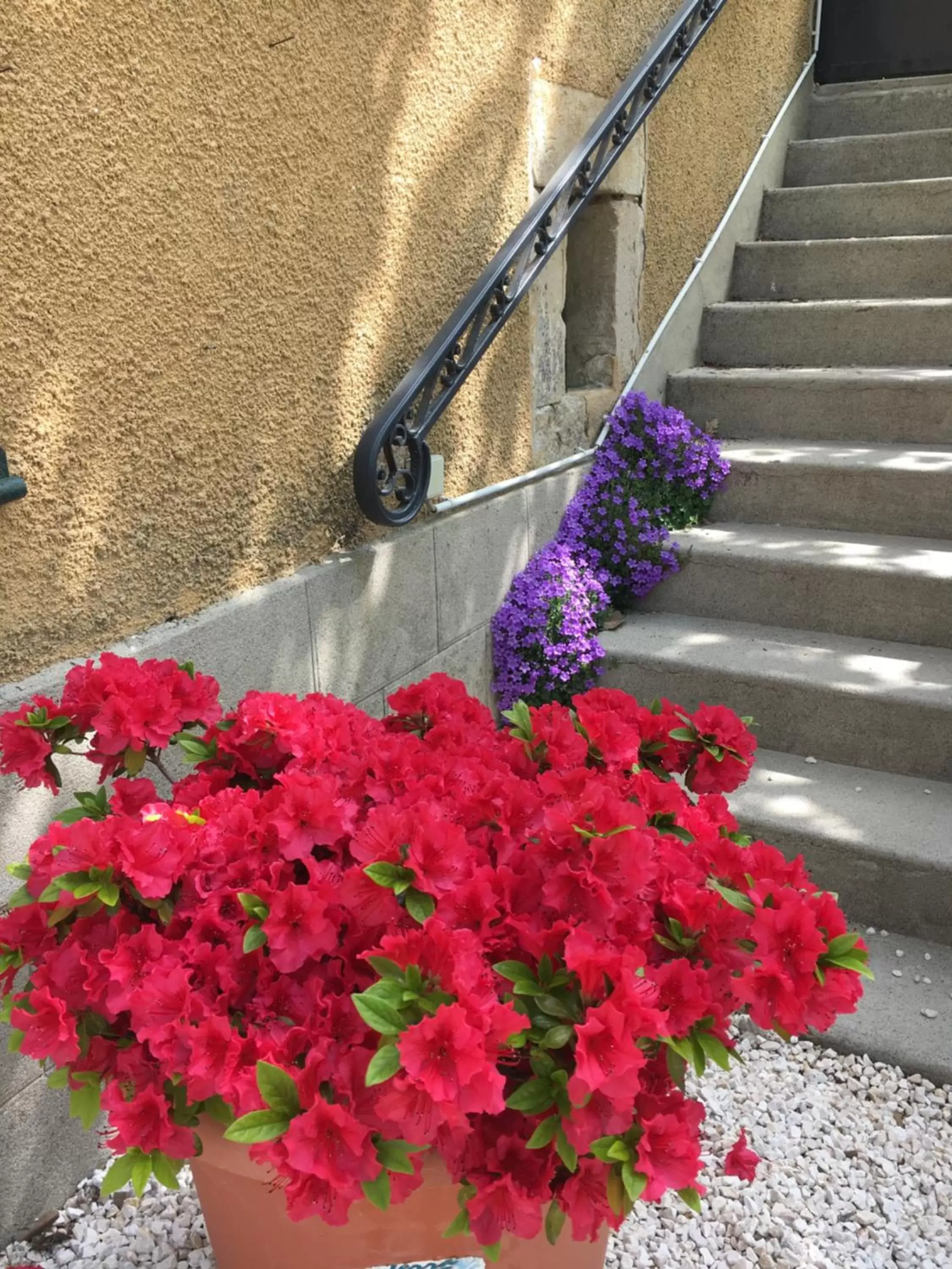 Decorative detail in DOMAINE FORVENT