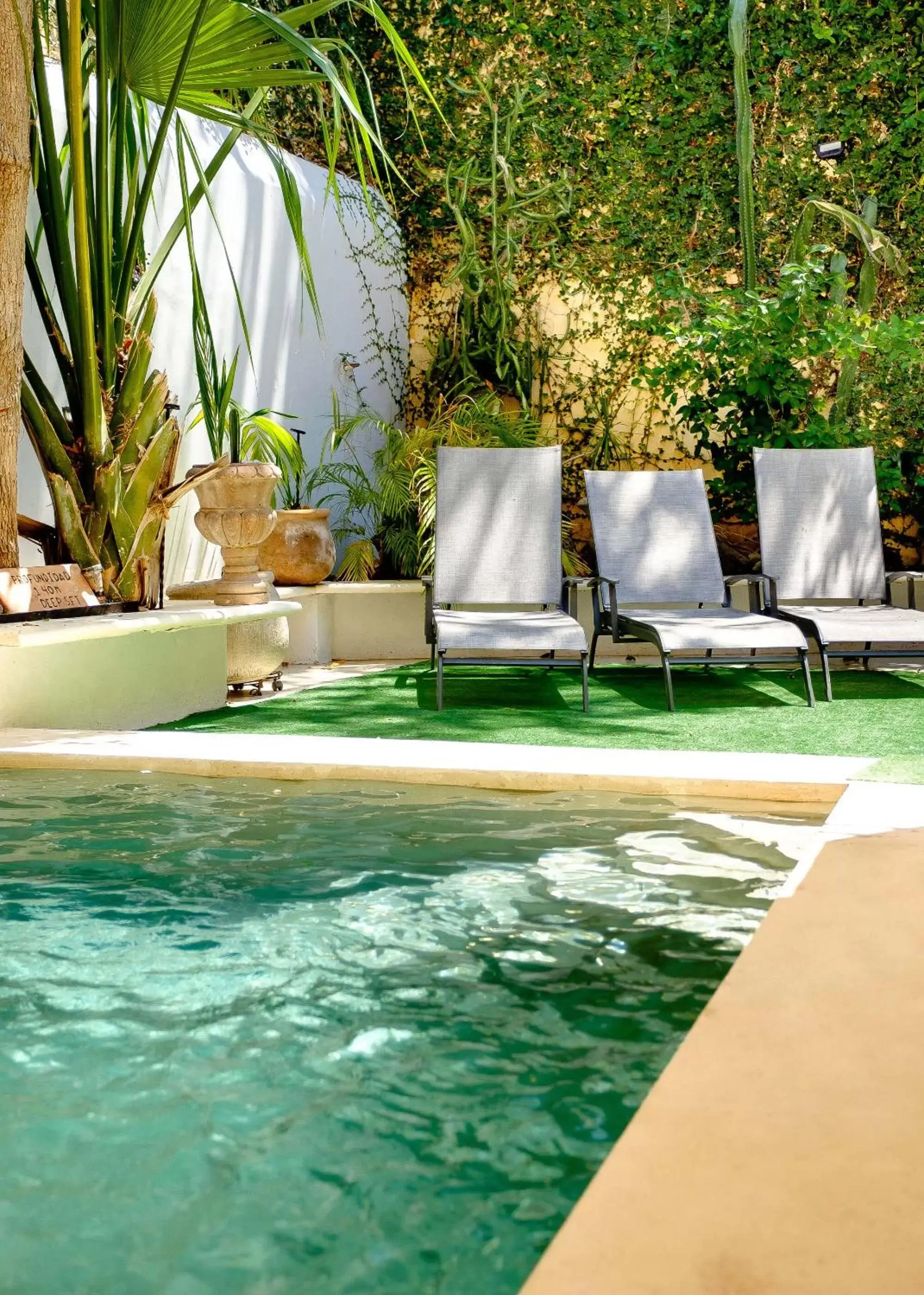Garden, Swimming Pool in Viva Merida Hotel Boutique