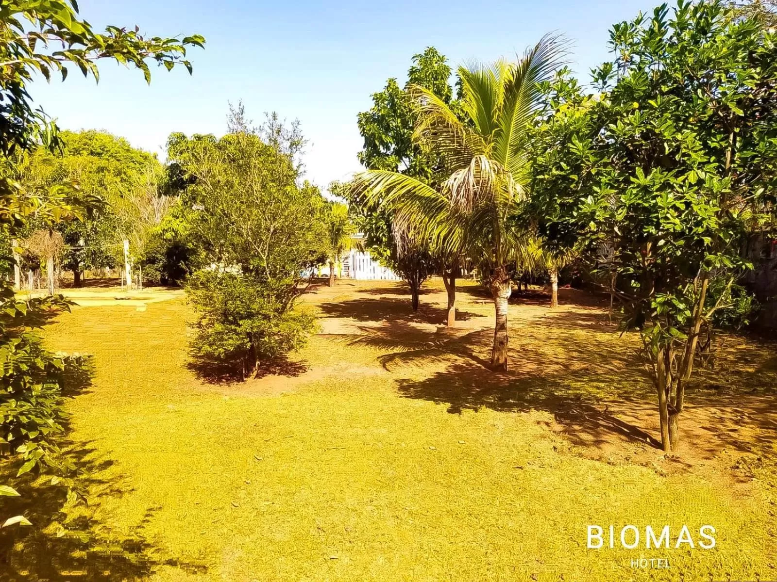 Garden in Biomas Hotel