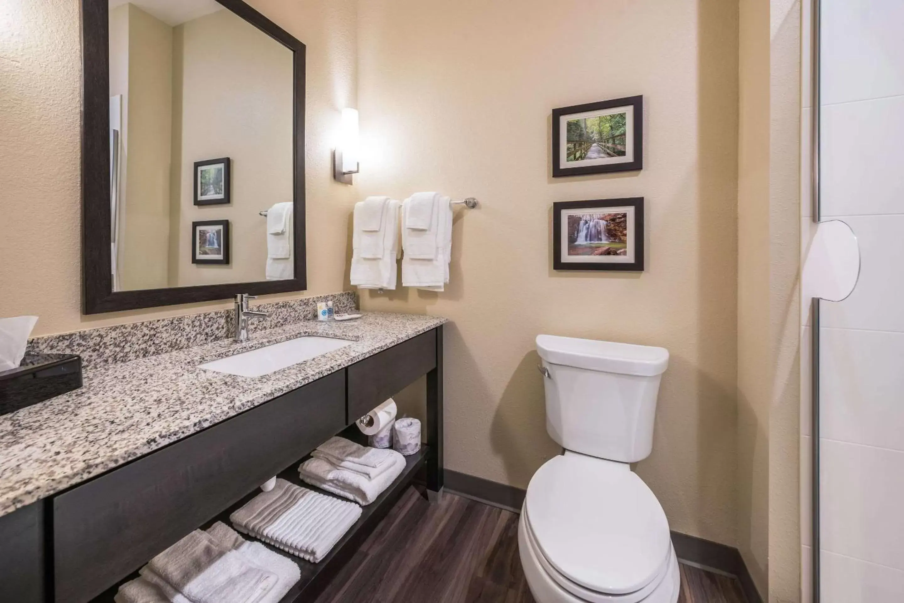 Bathroom in Comfort Suites Marysville Columbus - Northwest