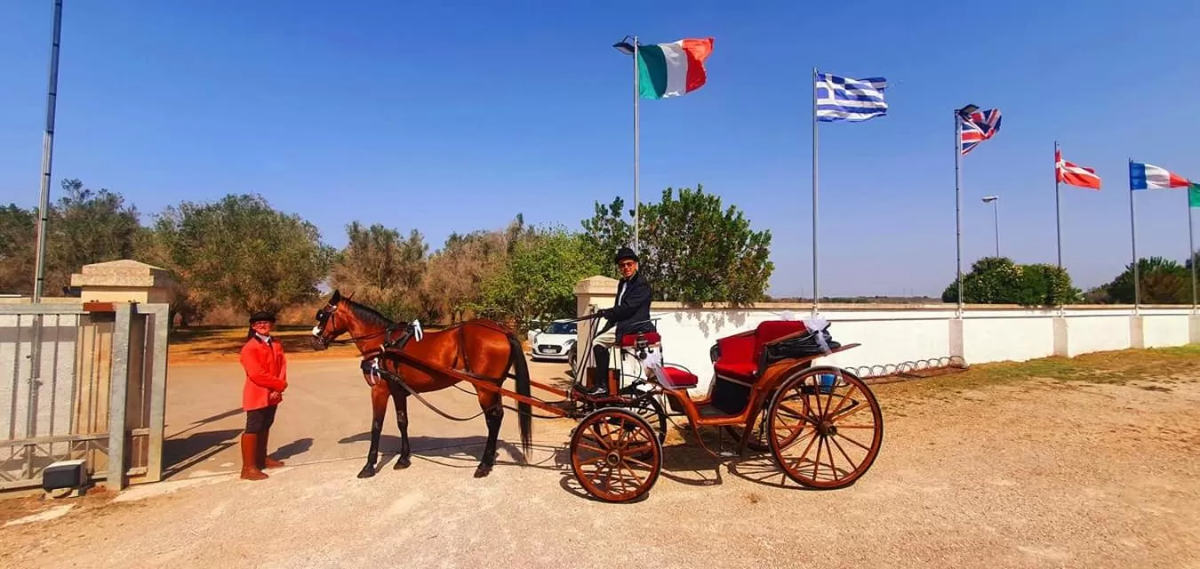 Day, Other Activities in Grikò Country Hotel