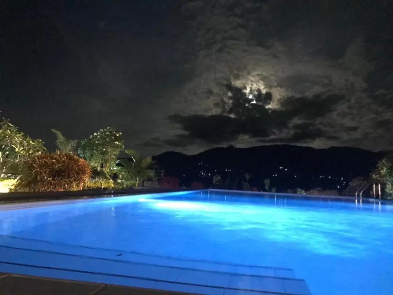 Natural landscape, Swimming Pool in Elegant Hotel