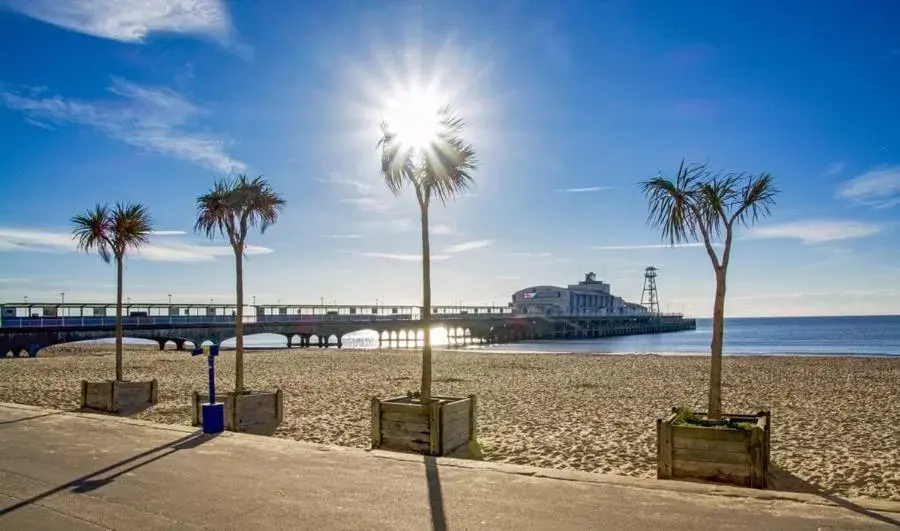 Beach in Cosy Bee