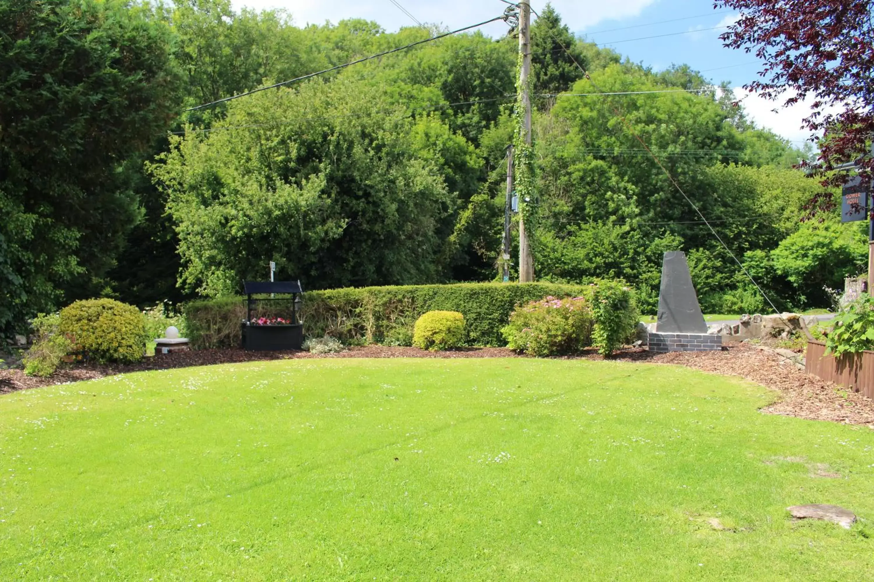 Garden in The Gower Hotel