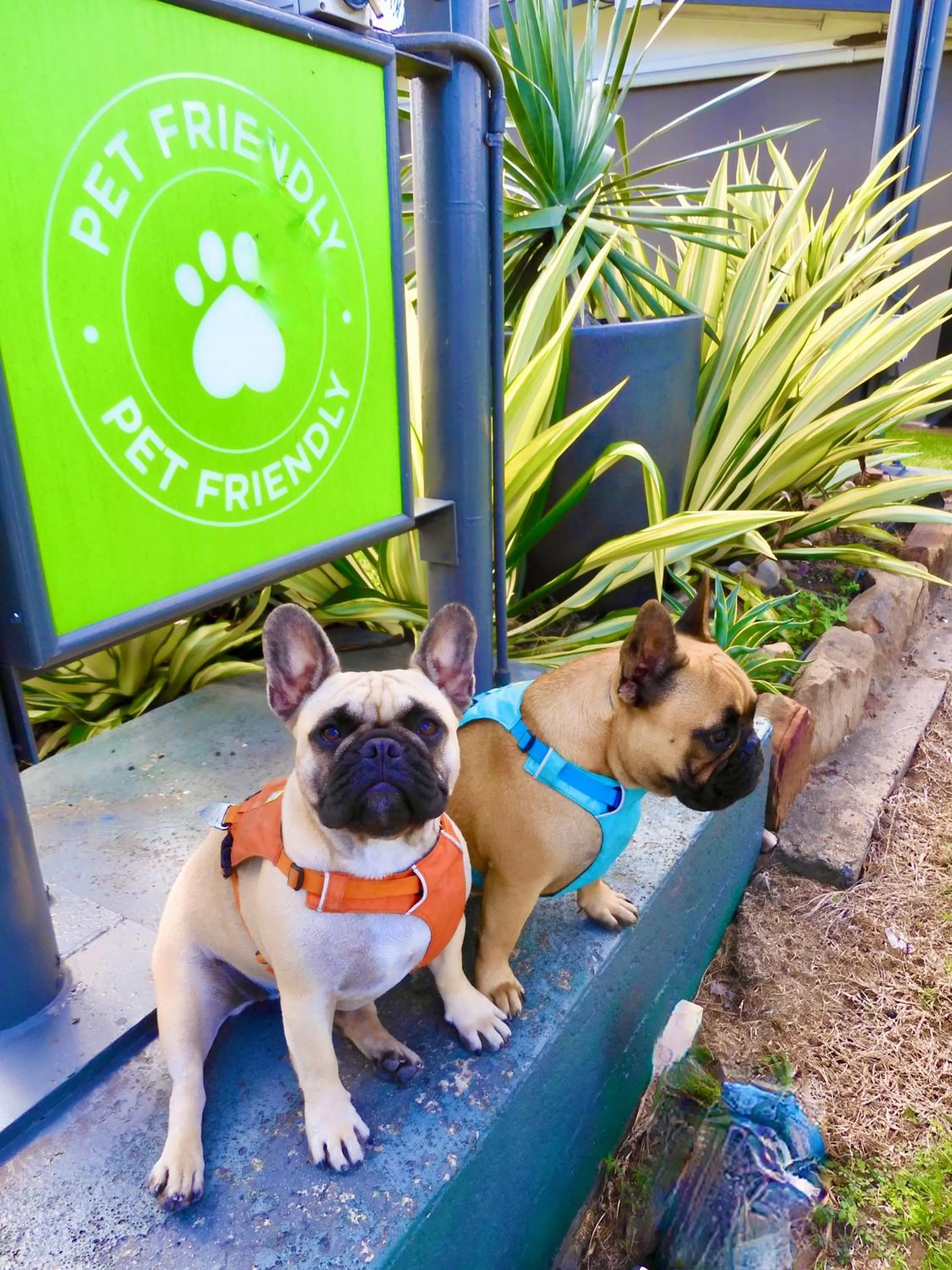 Property building in Dalby Parkview Motel