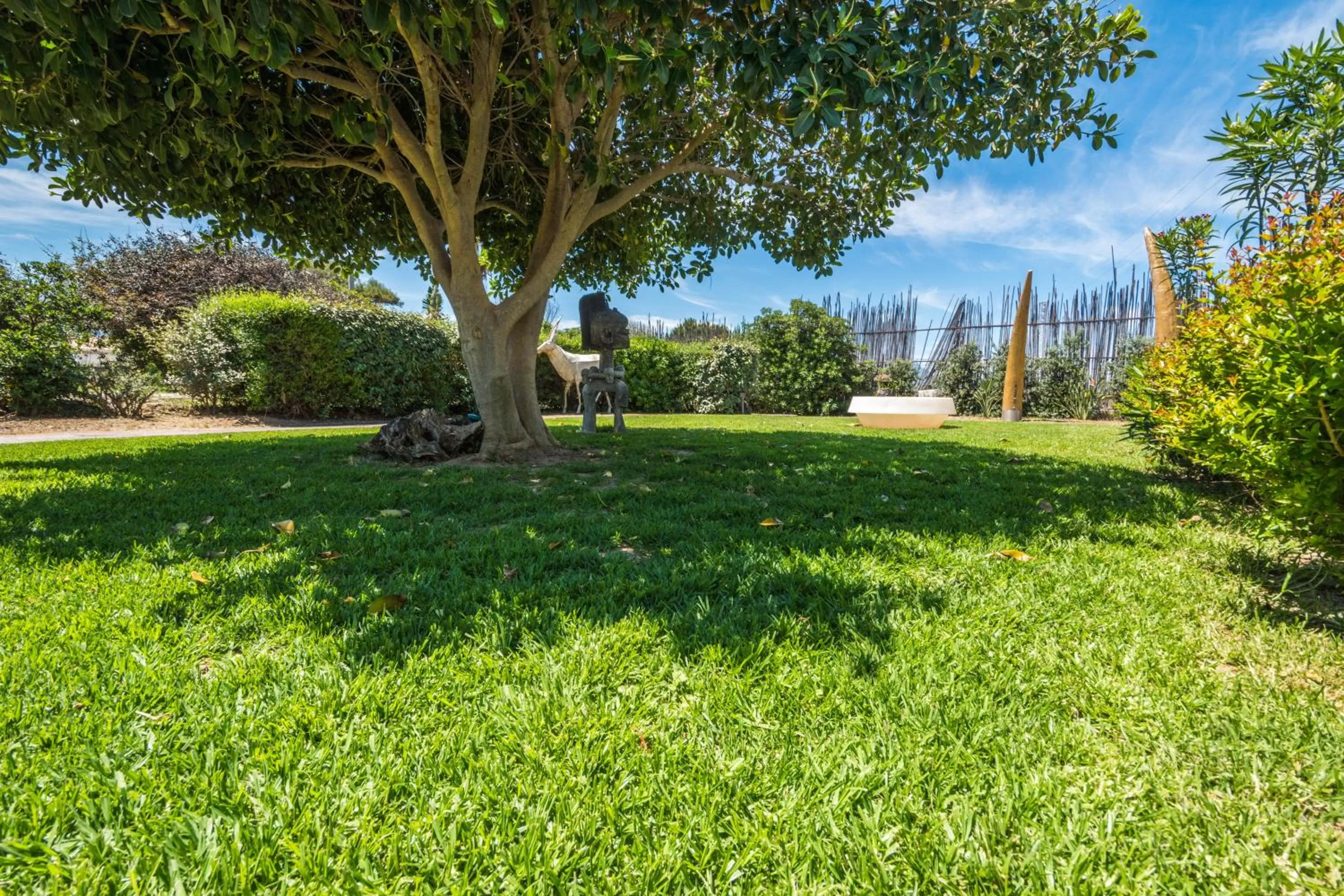 Natural landscape, Garden in B&B Le Dune - Self Check in