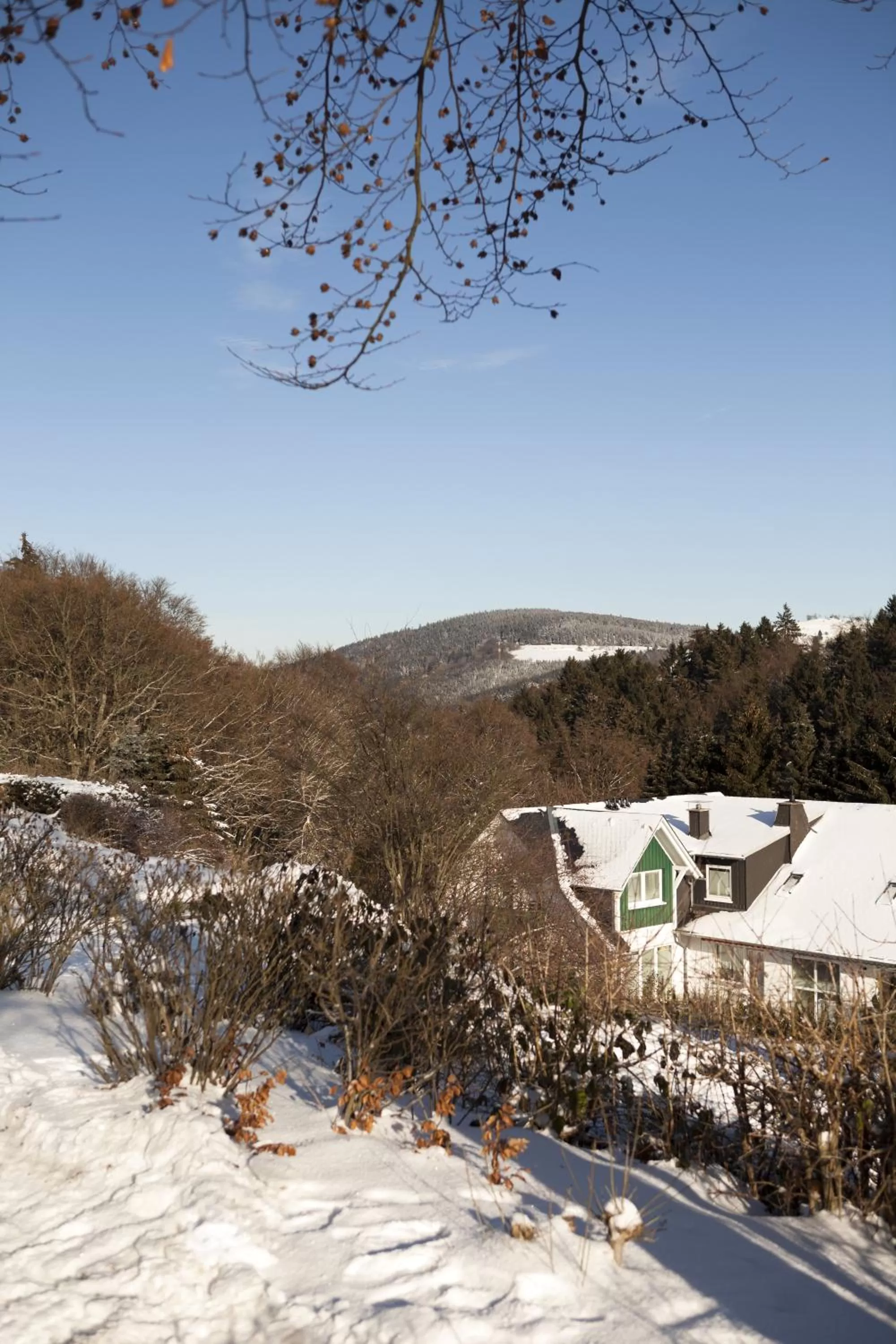 Mountain view in H+ Hotel Willingen