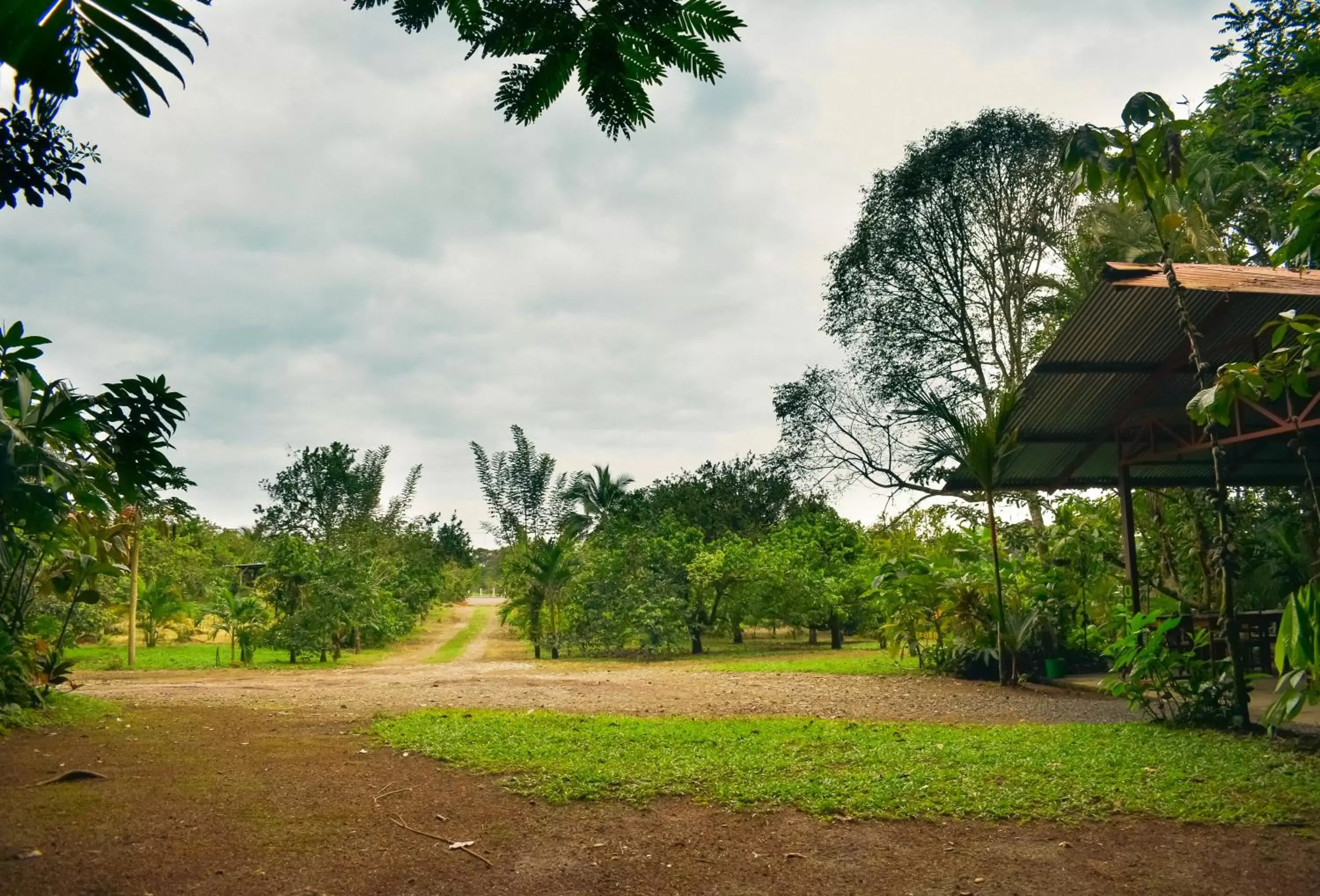 Natural landscape in Arenal Descanso