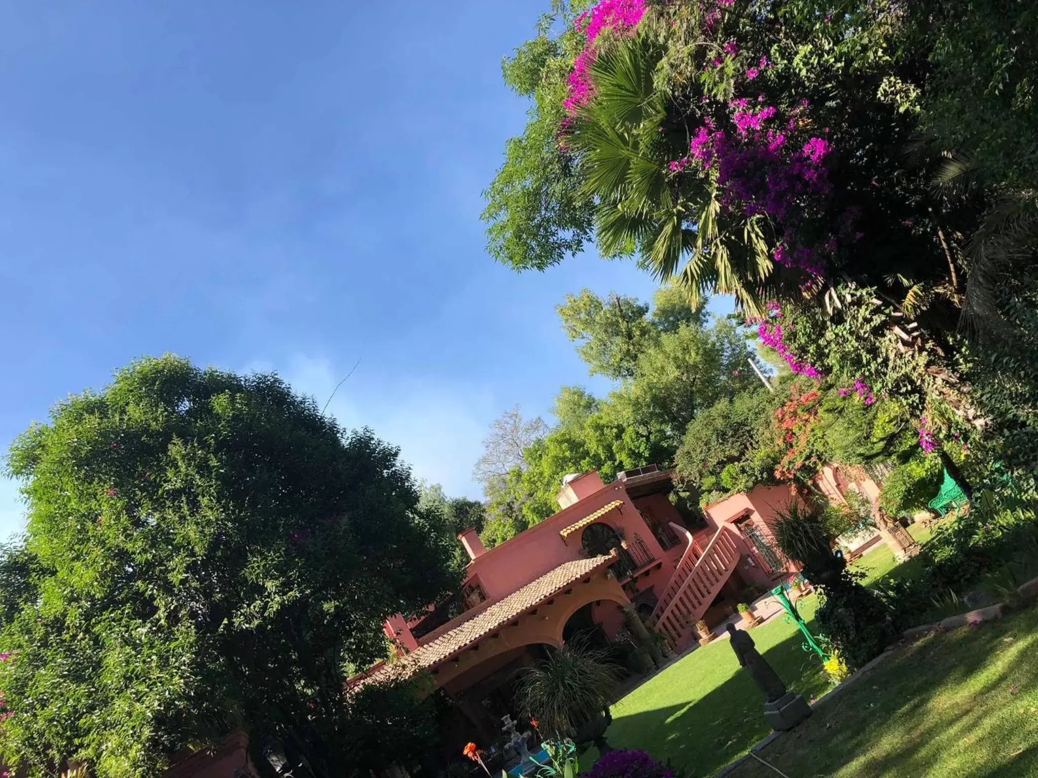 Garden view in Tres Fuentes Hotel Boutique