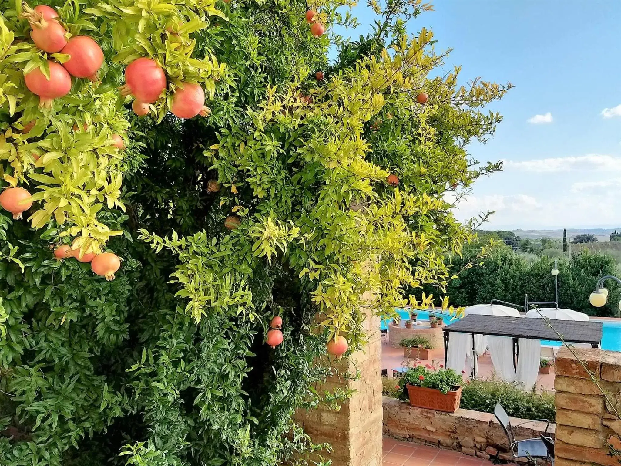 Garden in Villa Curina Resort