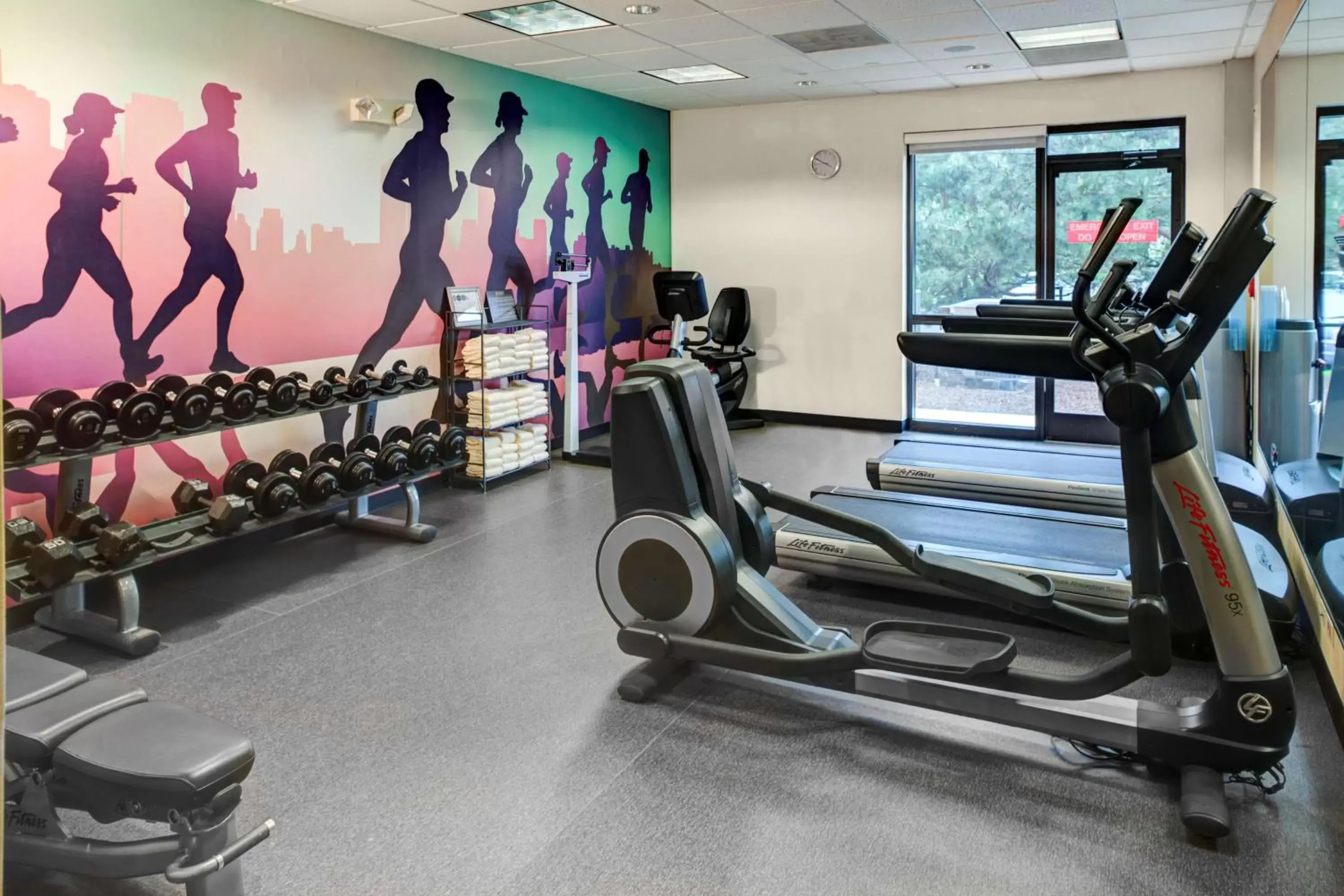 Fitness centre/facilities in Hyatt Place Tampa Busch Gardens