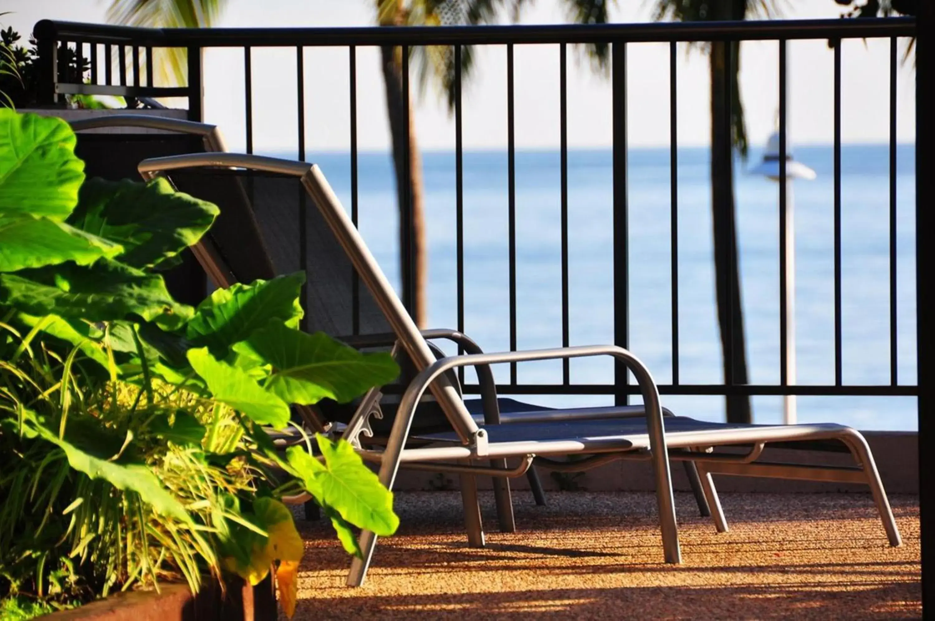 Balcony/Terrace in Waters Edge The Strand