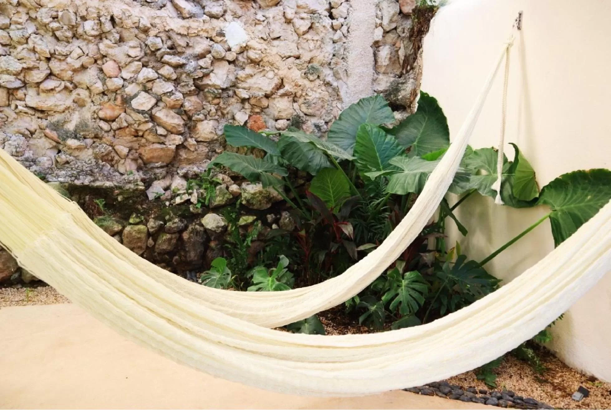 Patio in Hotel & Hostal Boutique Casa Garza