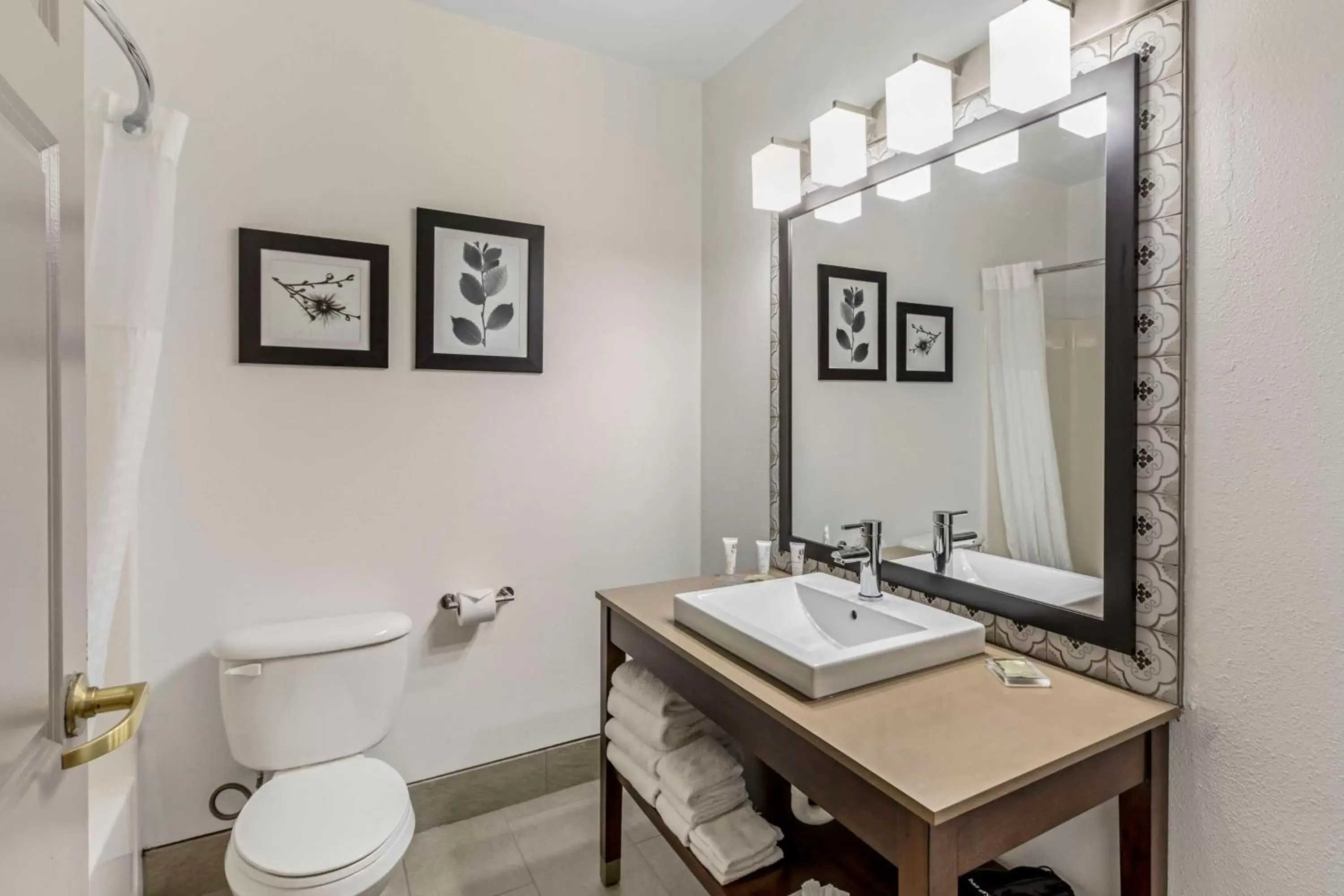 Bathroom in Country Inn & Suites by Radisson, Elk Grove Village/Itasca