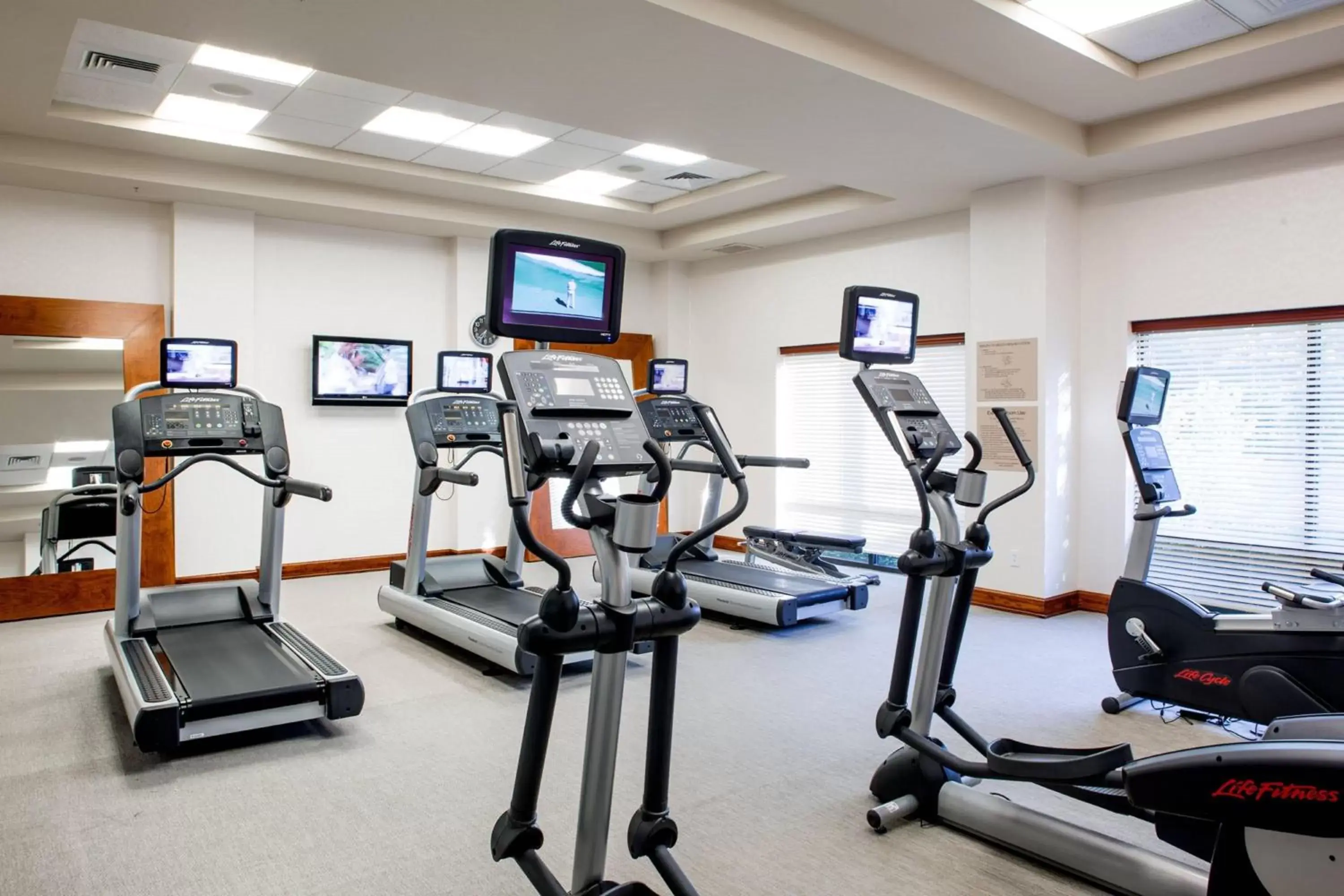 Fitness centre/facilities, Fitness Center/Facilities in SpringHill Suites Hampton