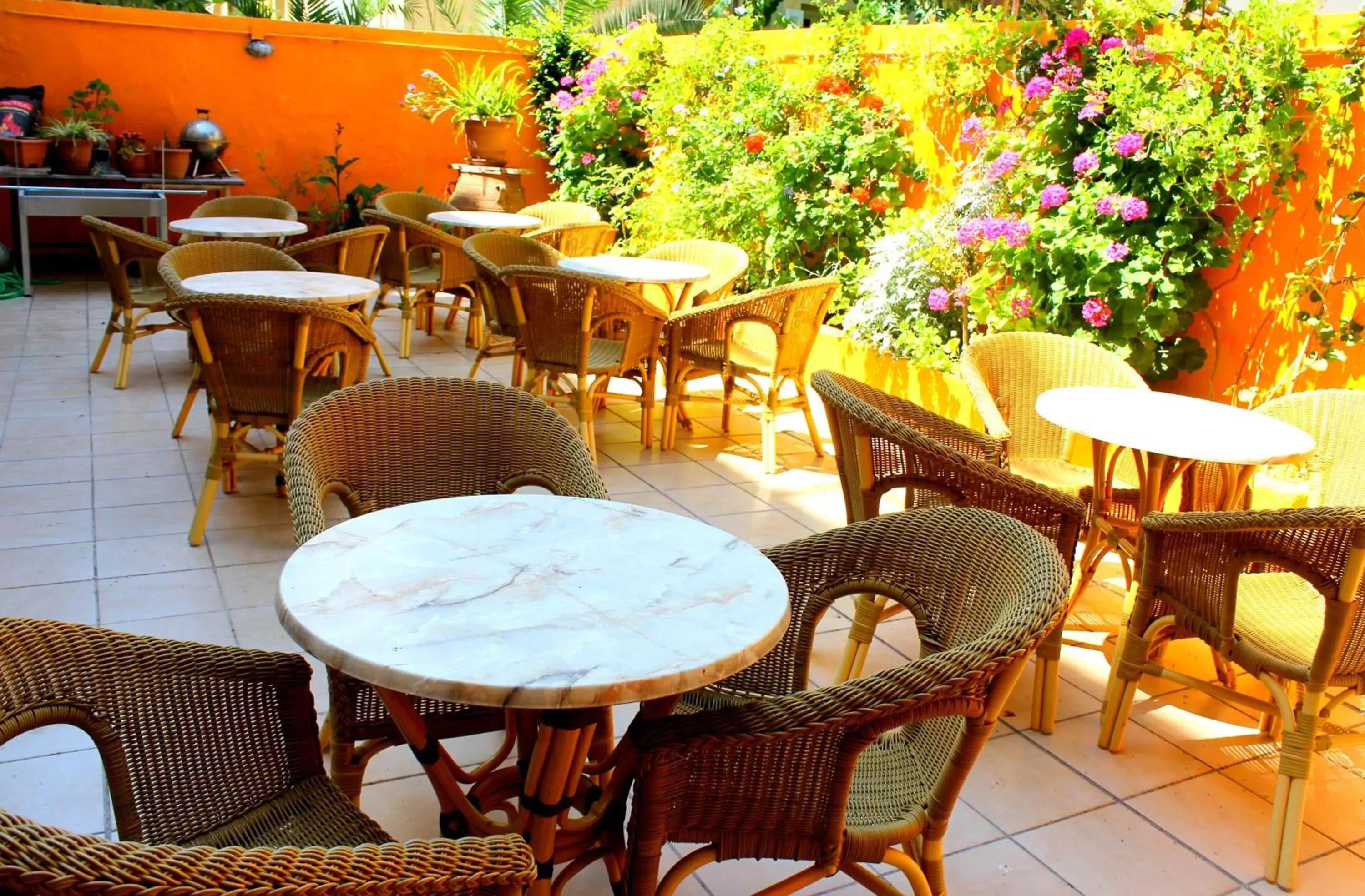 Garden, Restaurant/Places to Eat in Hotel Savoy