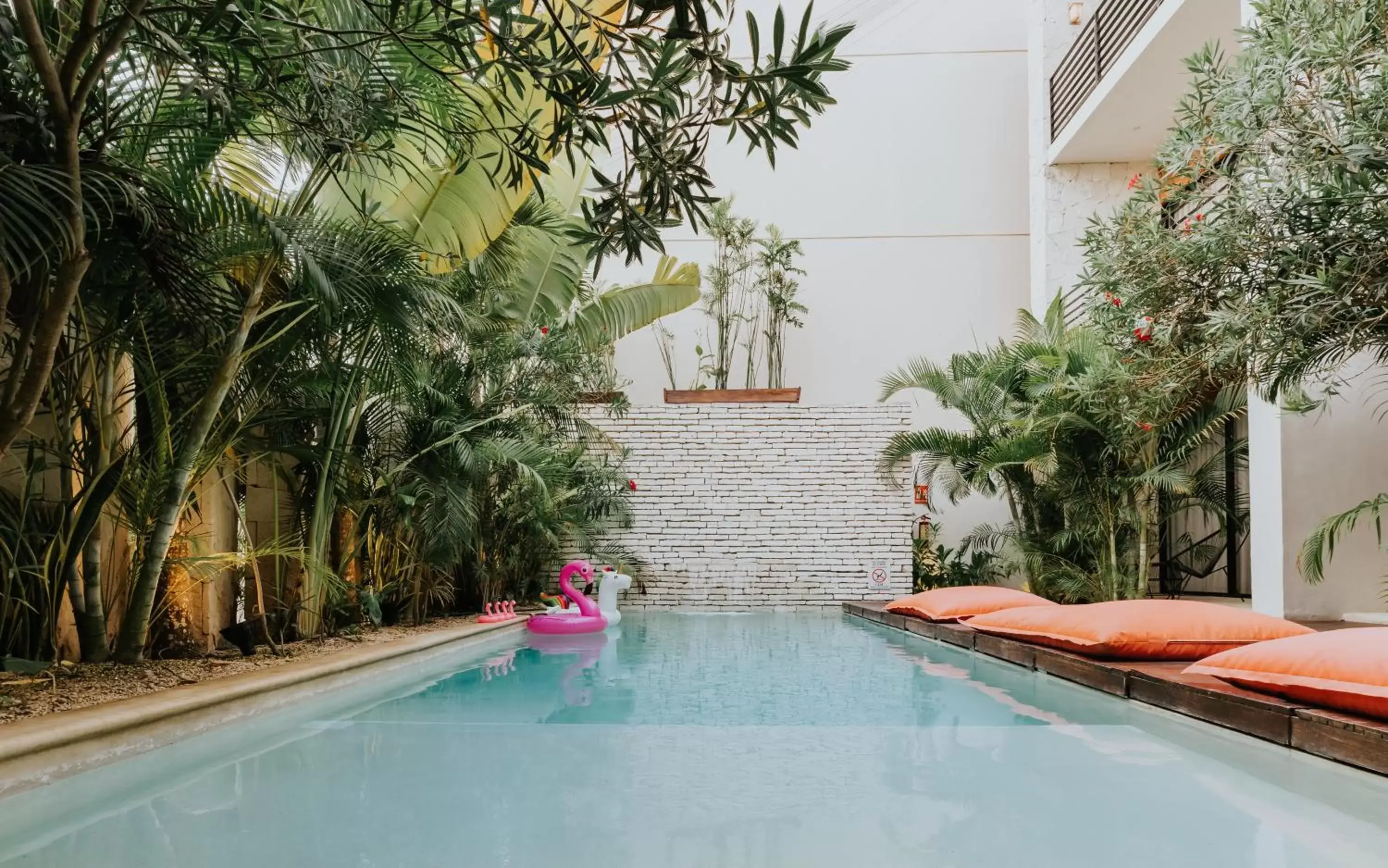 Swimming pool in The Strabon Tulum Swimming pool in The Strabon Tulum