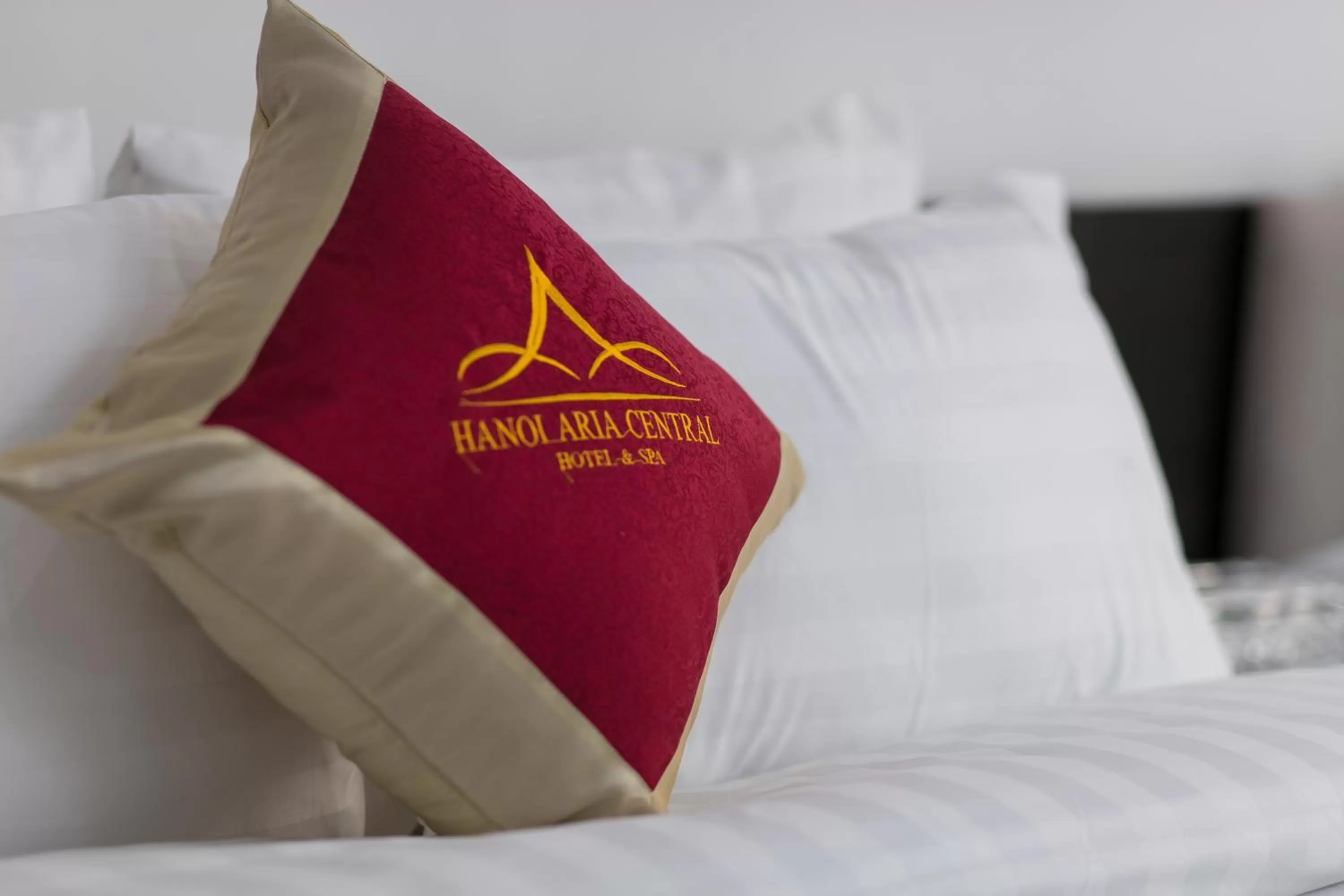 Bed in Hanoi Aria Central Hotel & Spa