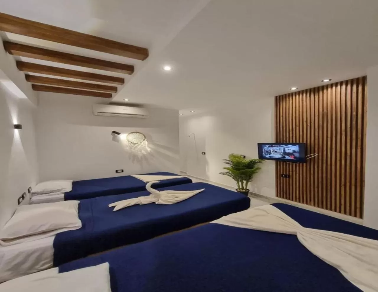 Photo of the whole room, Bed in Penguin Village Dahab