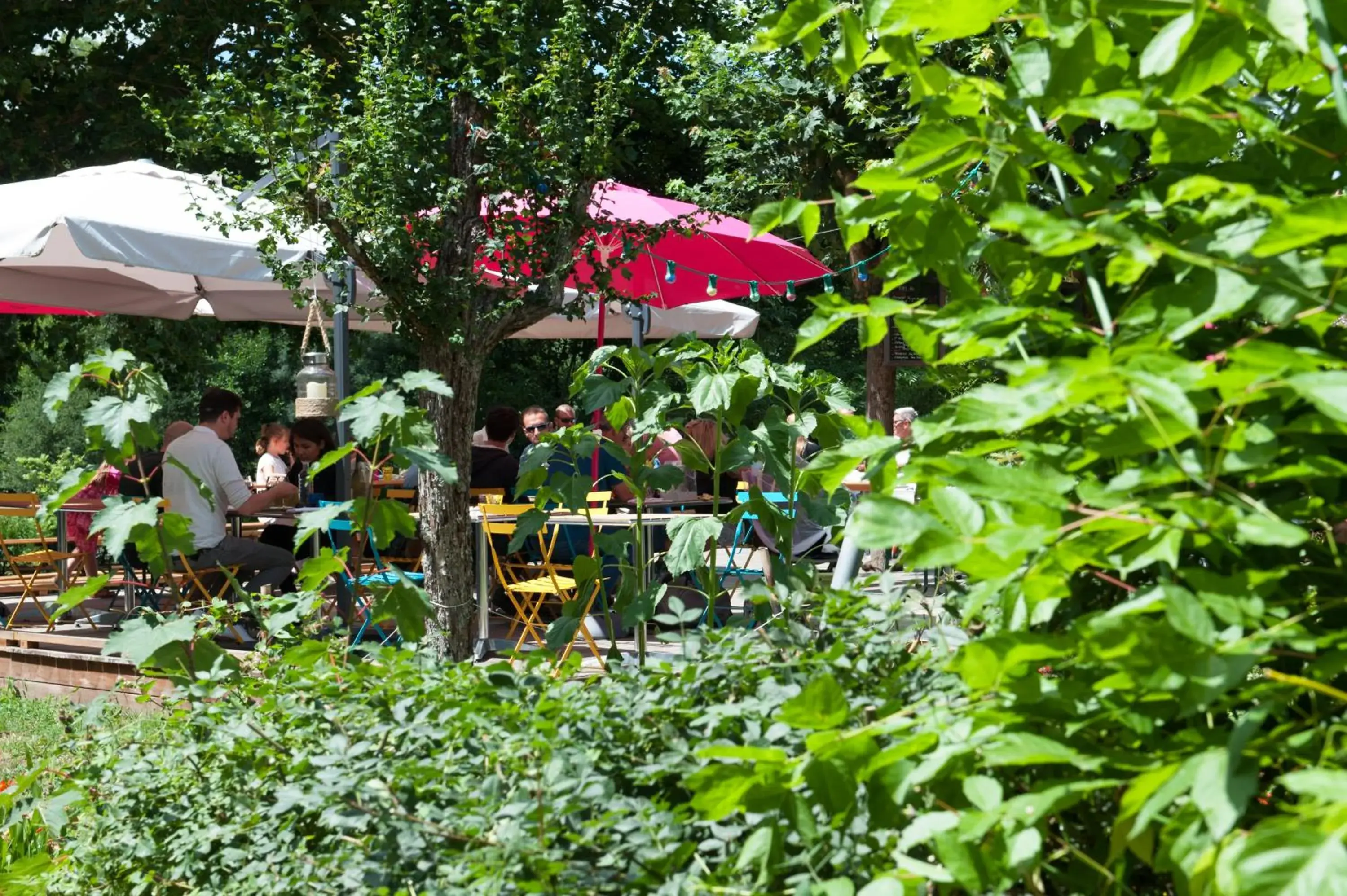 Garden in La Cascade