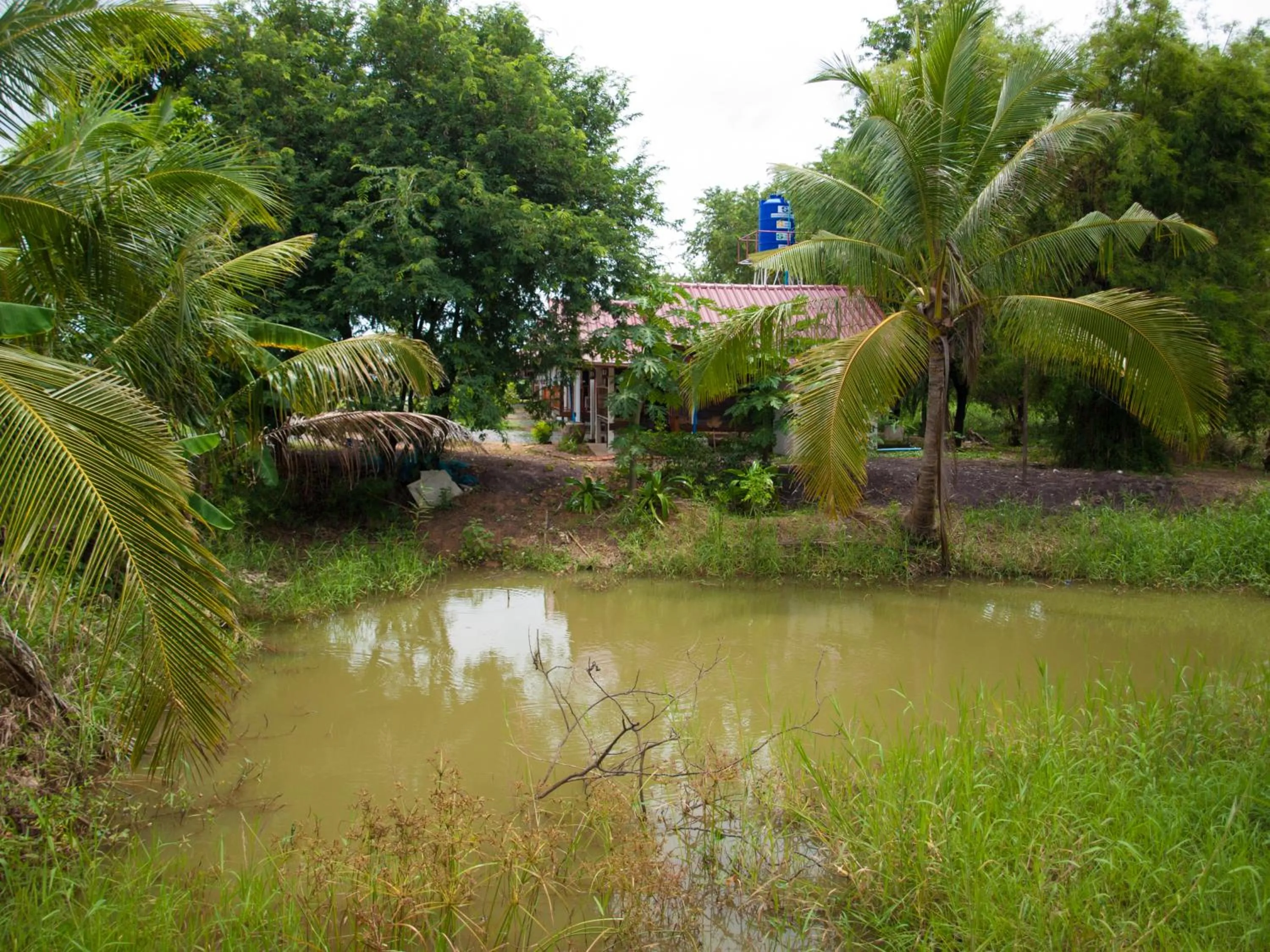 Jamsai Resort