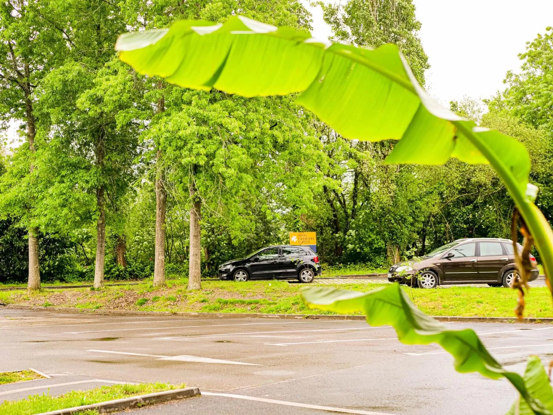 Garden in Hotel du Parc - Chantepie
