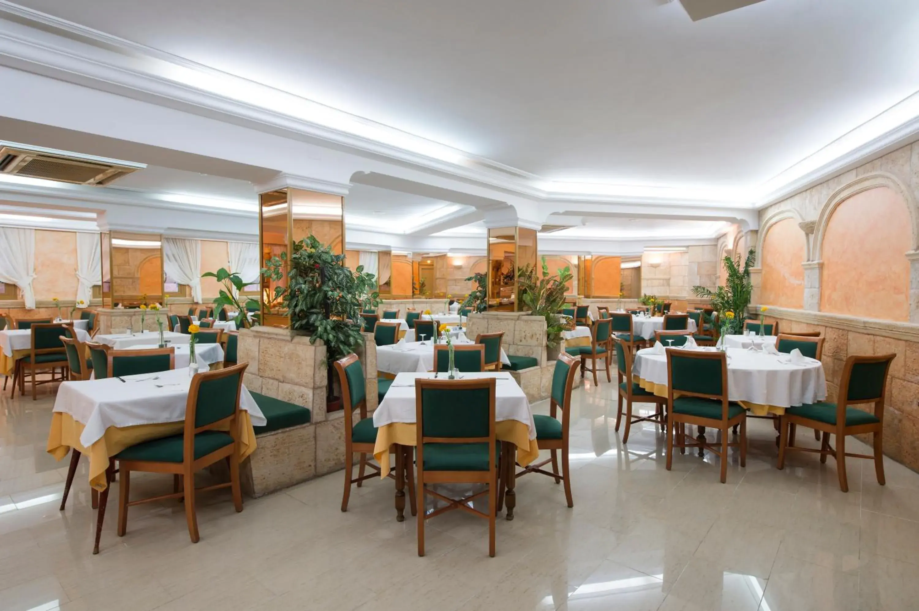 Restaurant/Places to Eat in Hotel Venecia