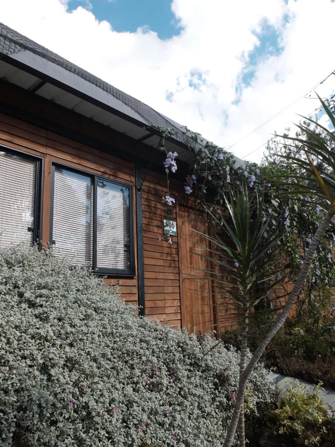 Garden view, Property Building in ALTO LODGING Centro de Entrenamiento Deportivo y Negocios, a 2 pasos del Aeropuerto JMC, Transporte Incluido