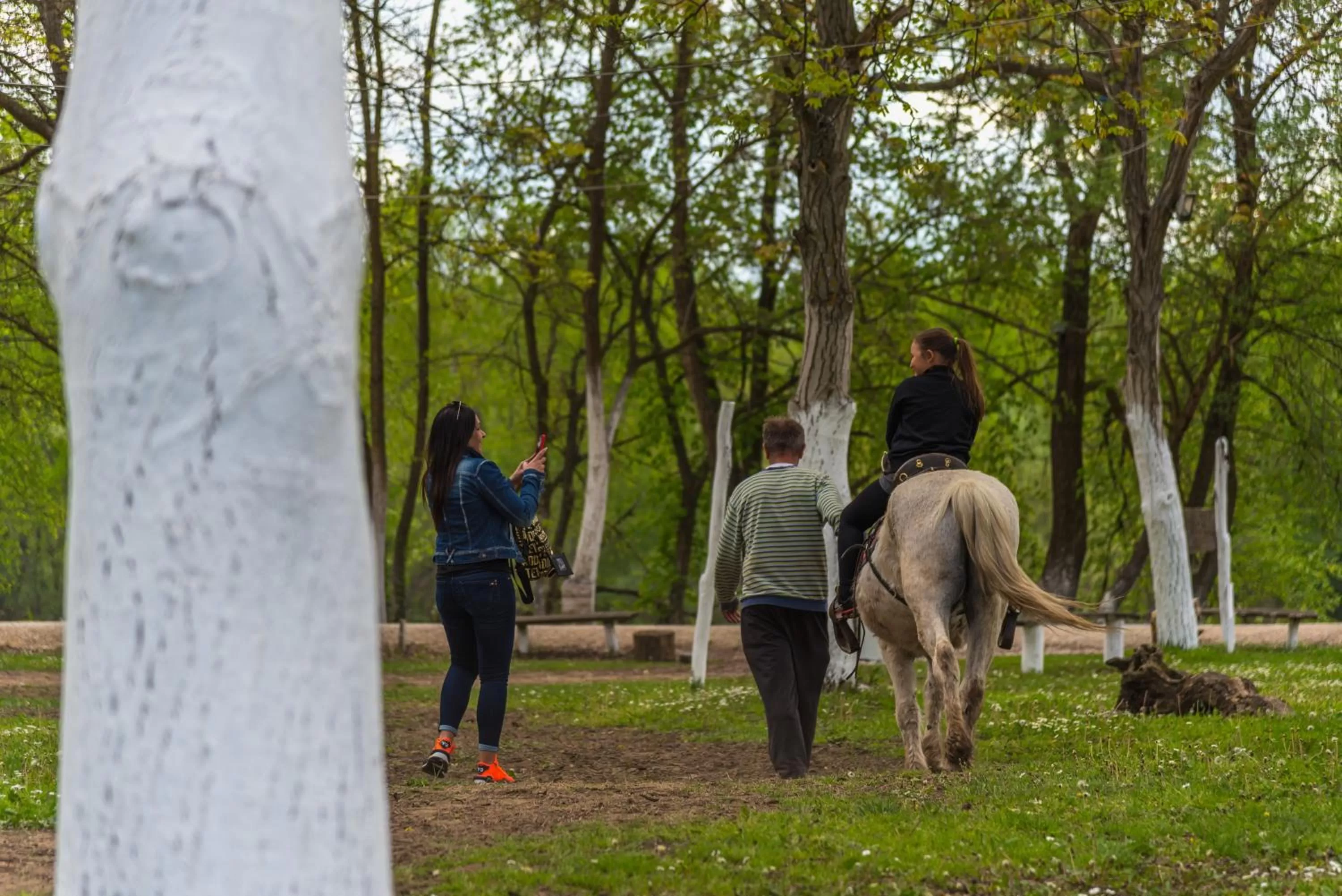 Horse-riding in B&B Etno Village Sunčana Reka