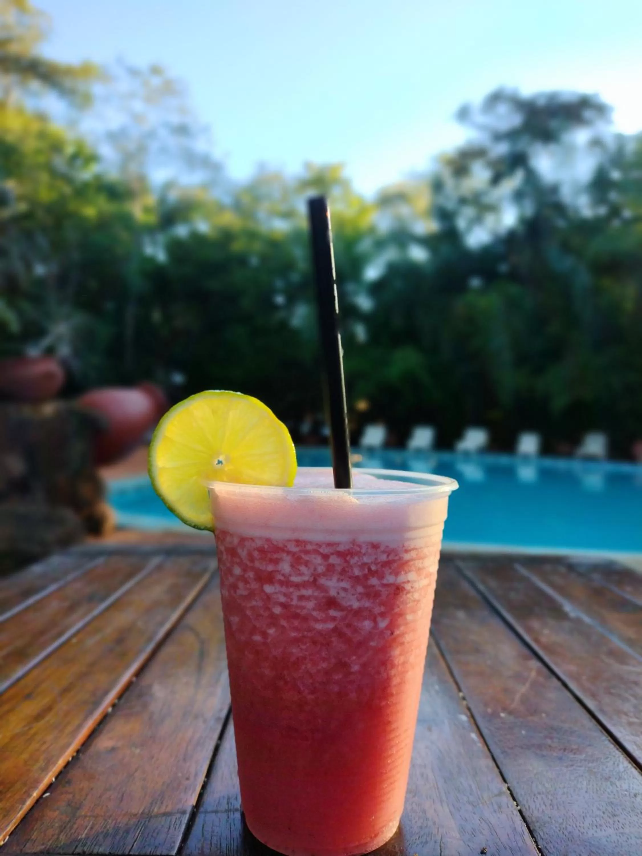 Swimming Pool in La Cautiva Iguazú Hotel