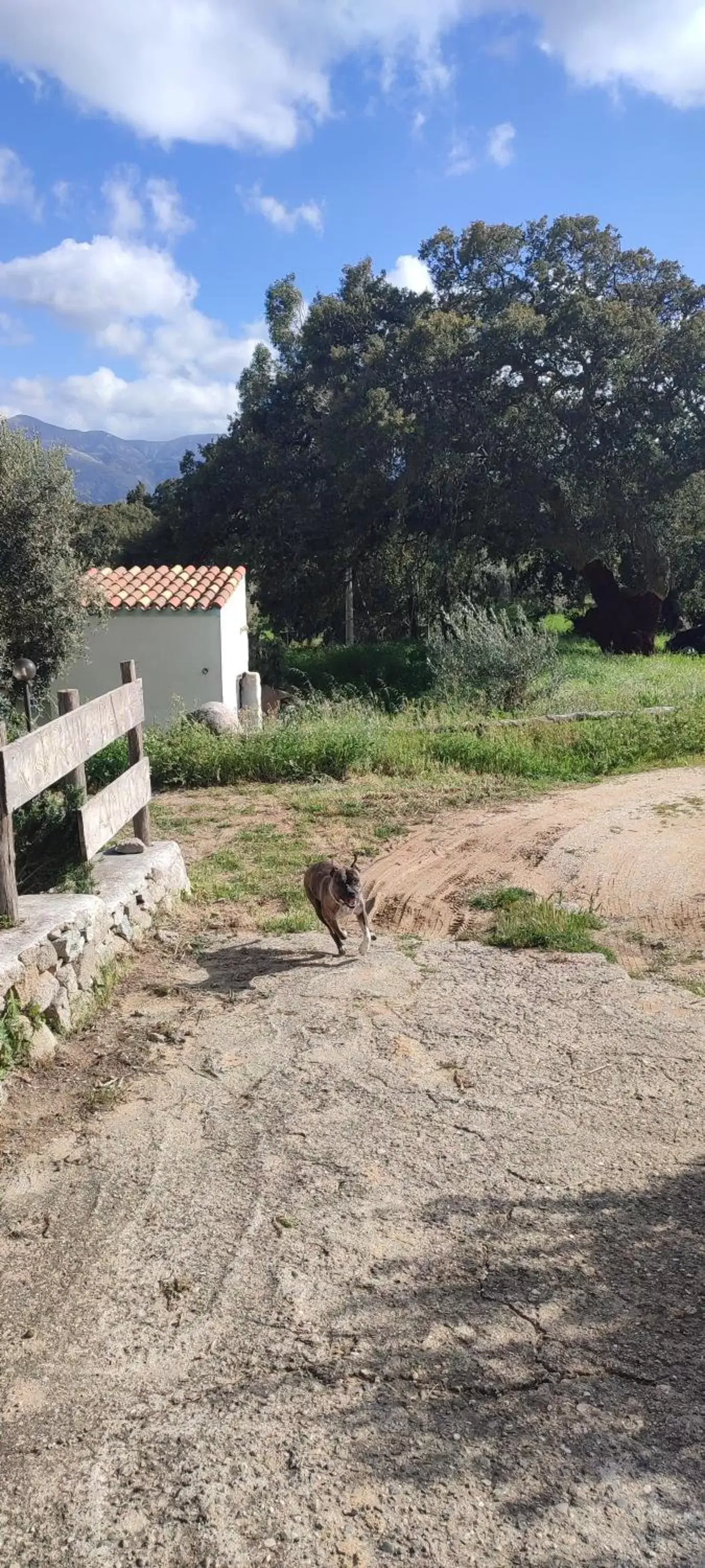 Property Building in B&B Il Nuraghe