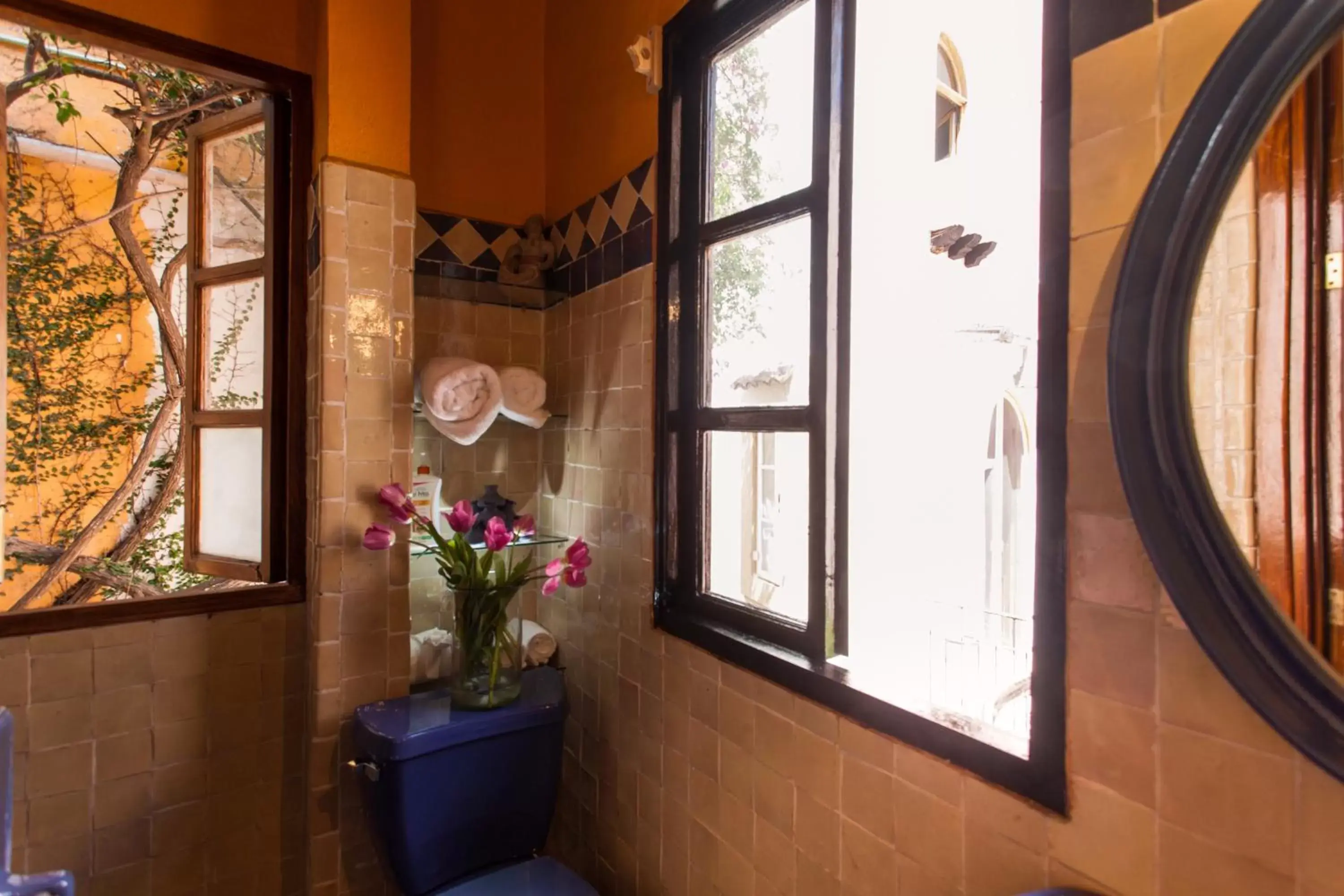 Bathroom in Garlands Del Rio