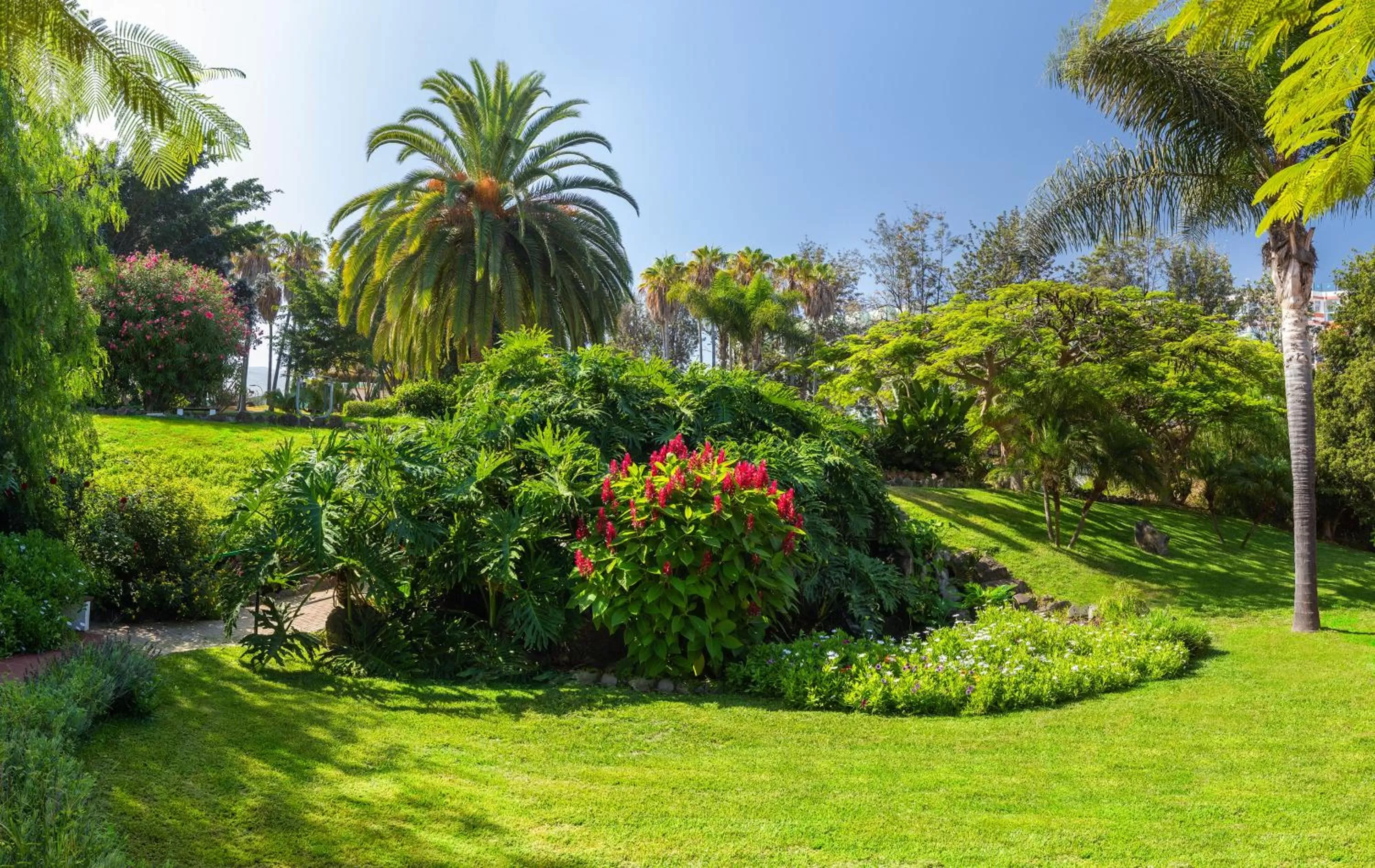 Garden in Parque Vacacional Eden