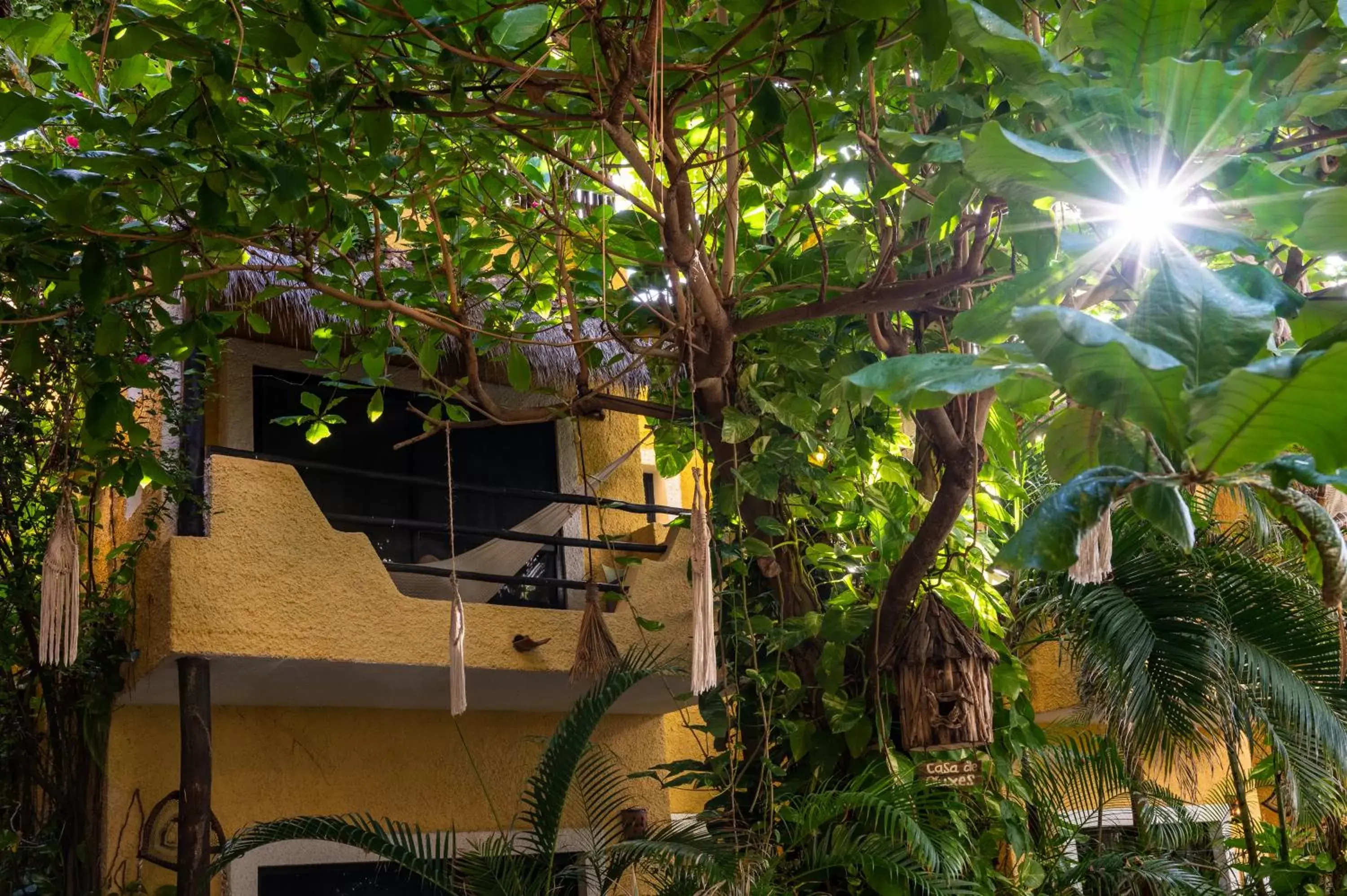 Garden view in Hotel Colibri Beach