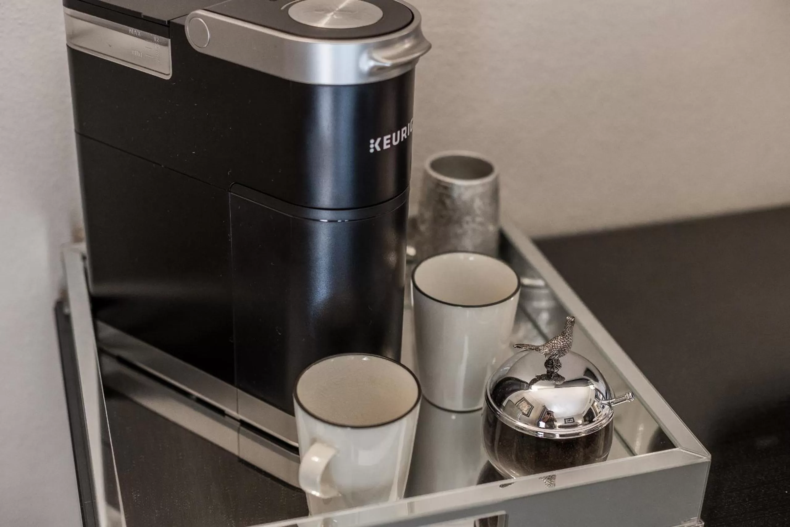 Kitchen/Kitchenette in Artesana Luxury Villa