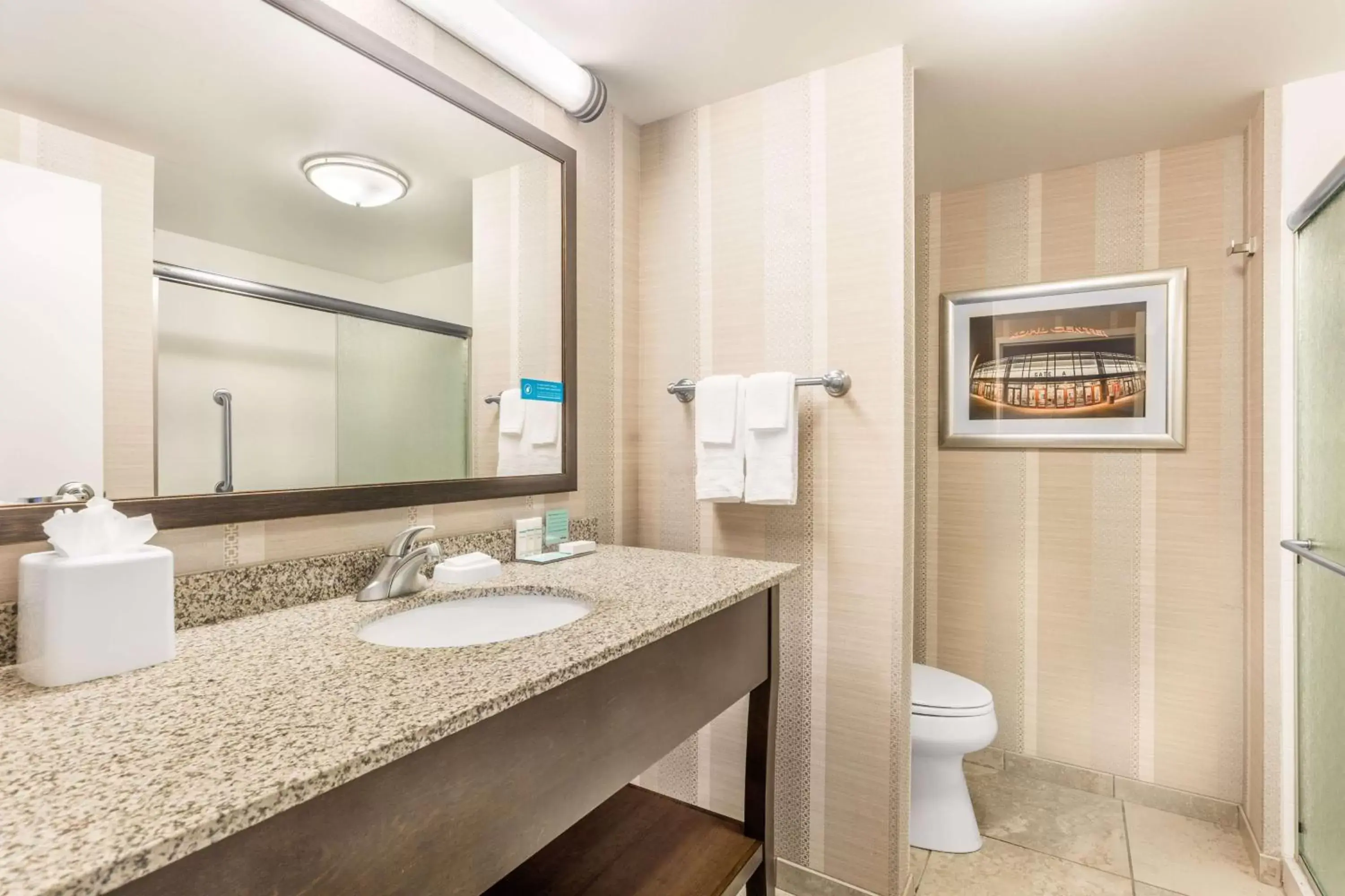 Bathroom in Hampton Inn & Suites Madison Downtown