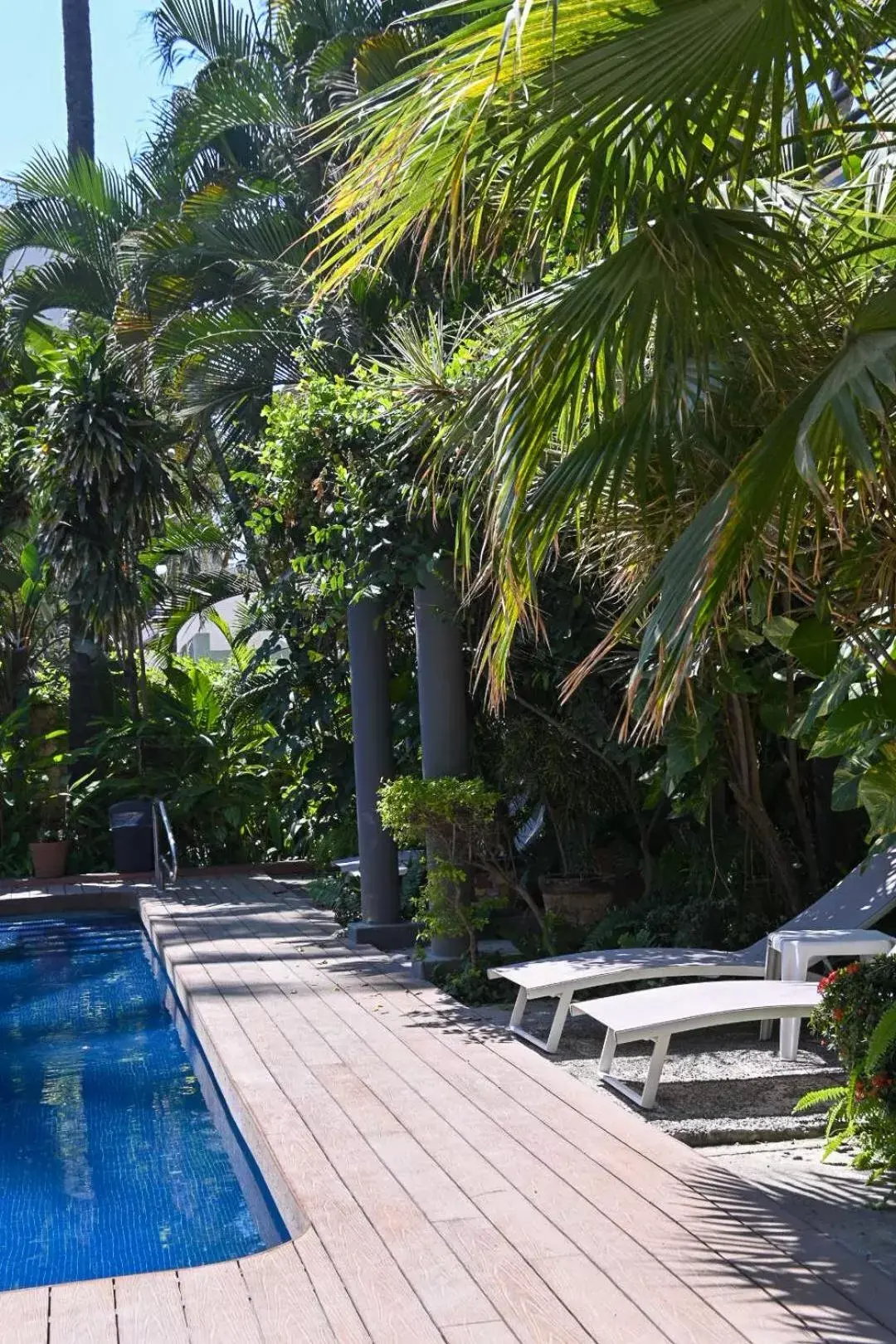 Day, Swimming Pool in Hotel Palmeras