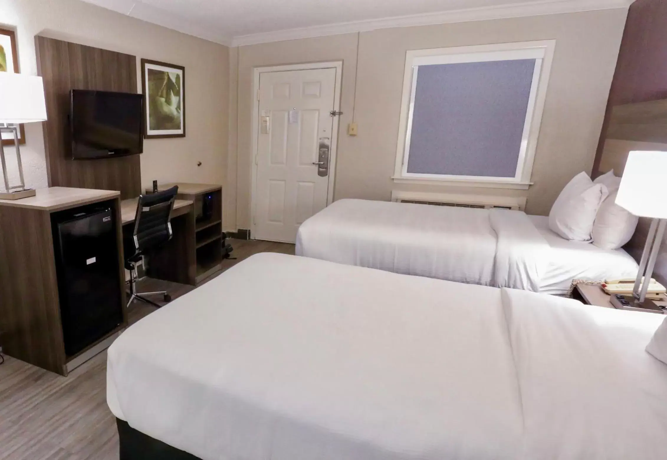 Photo of the whole room, Bed in La Quinta Inn by Wyndham San Antonio Lackland