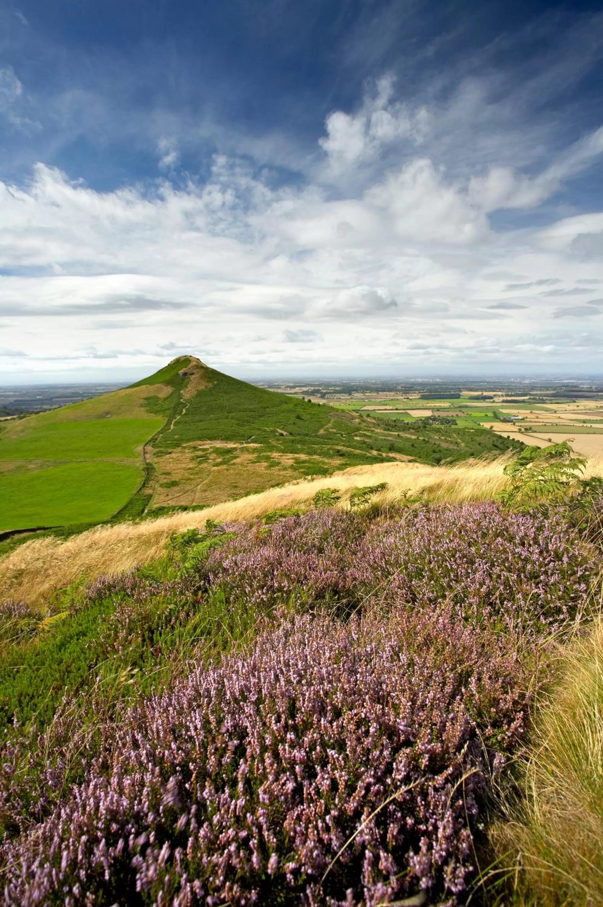 Nearby landmark in Gisborough Hall Hotel