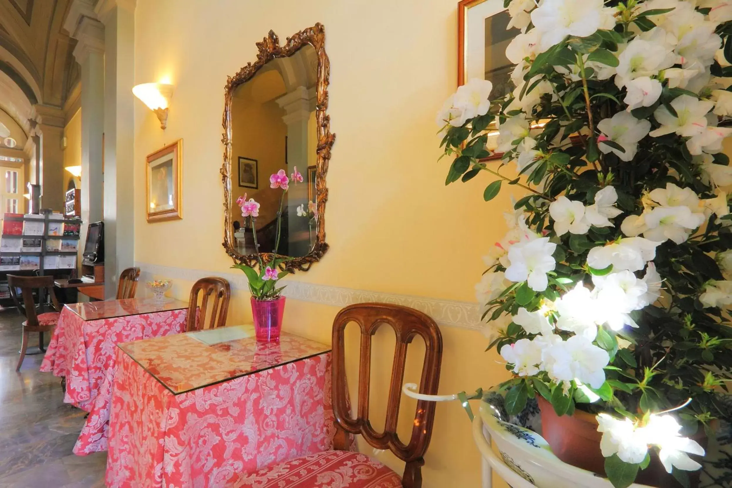 Restaurant/places to eat in Hotel Villa Liana