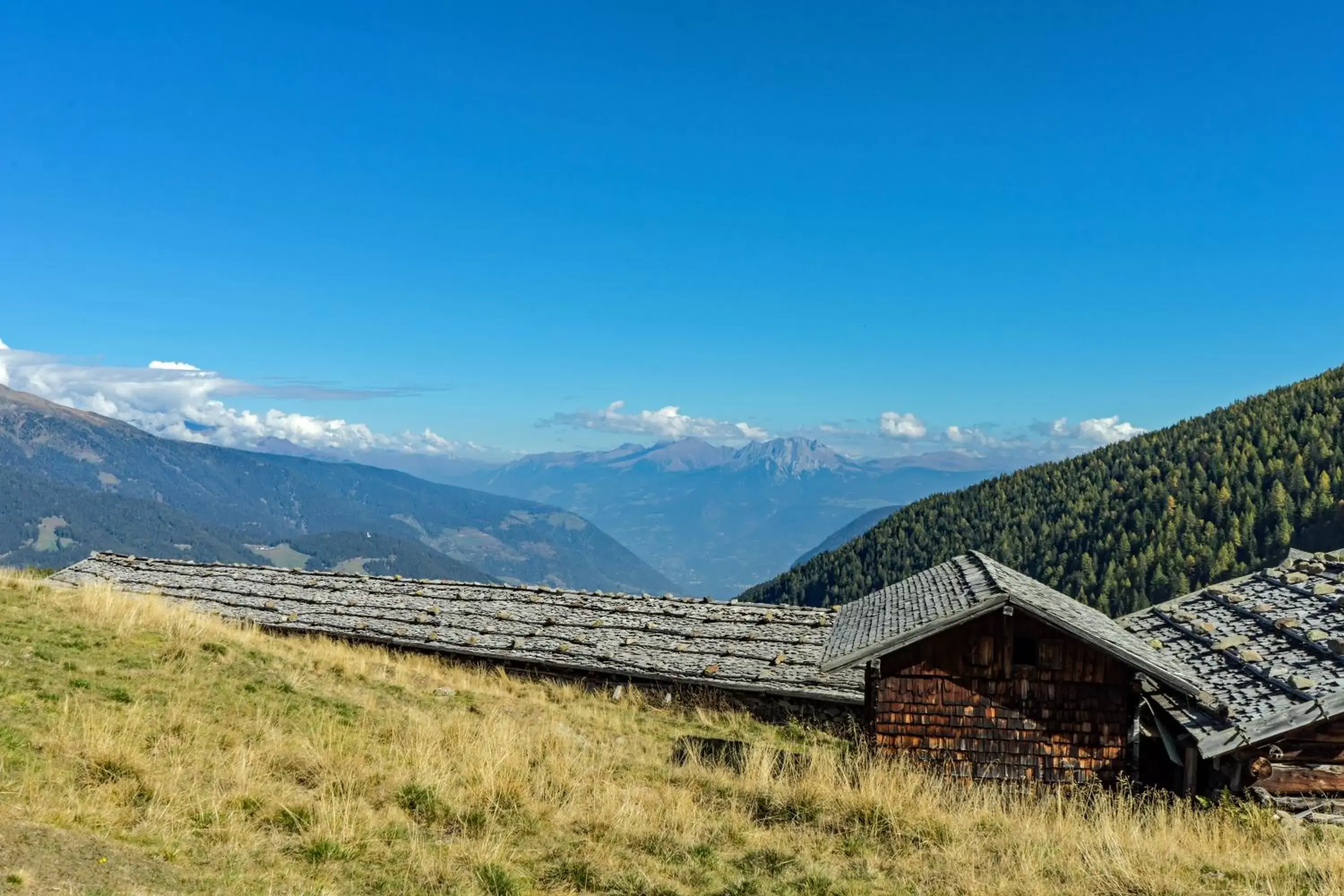 Natural landscape in Hotel Alpenhof