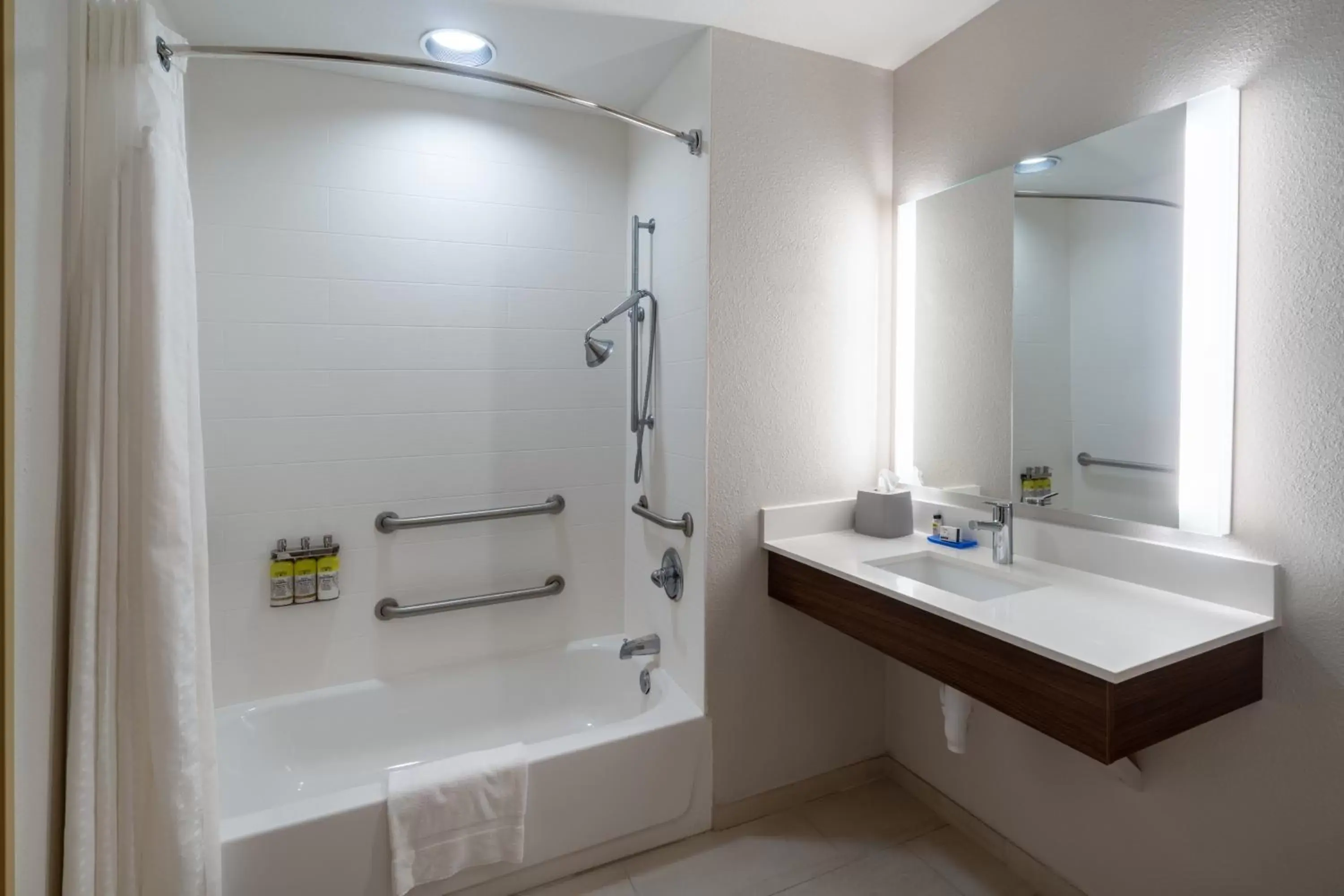 Bathroom in Holiday Inn Express Hotel & Suites Talladega, an IHG Hotel