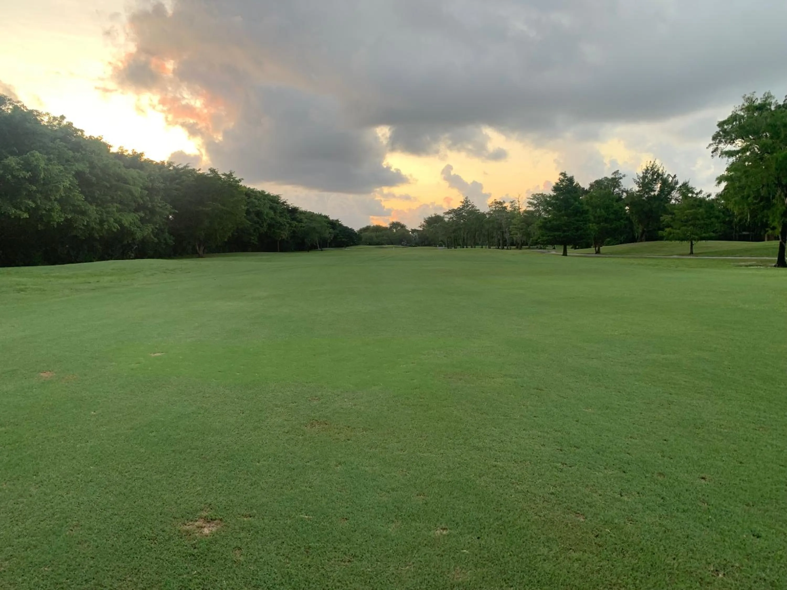 Golfcourse in Fairfield Inn & Suites by Marriott Fort Lauderdale Northwest