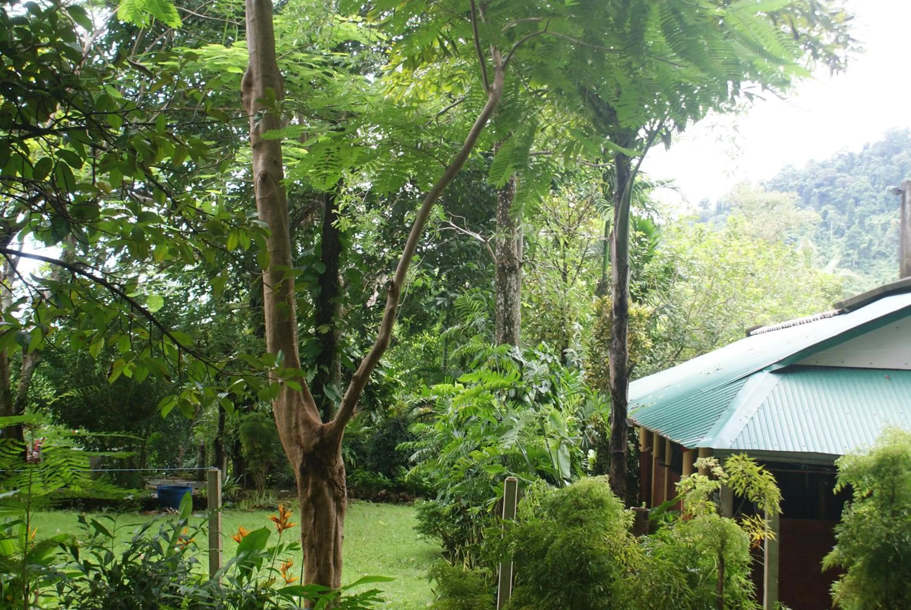 Garden in Rock Inn Bailan