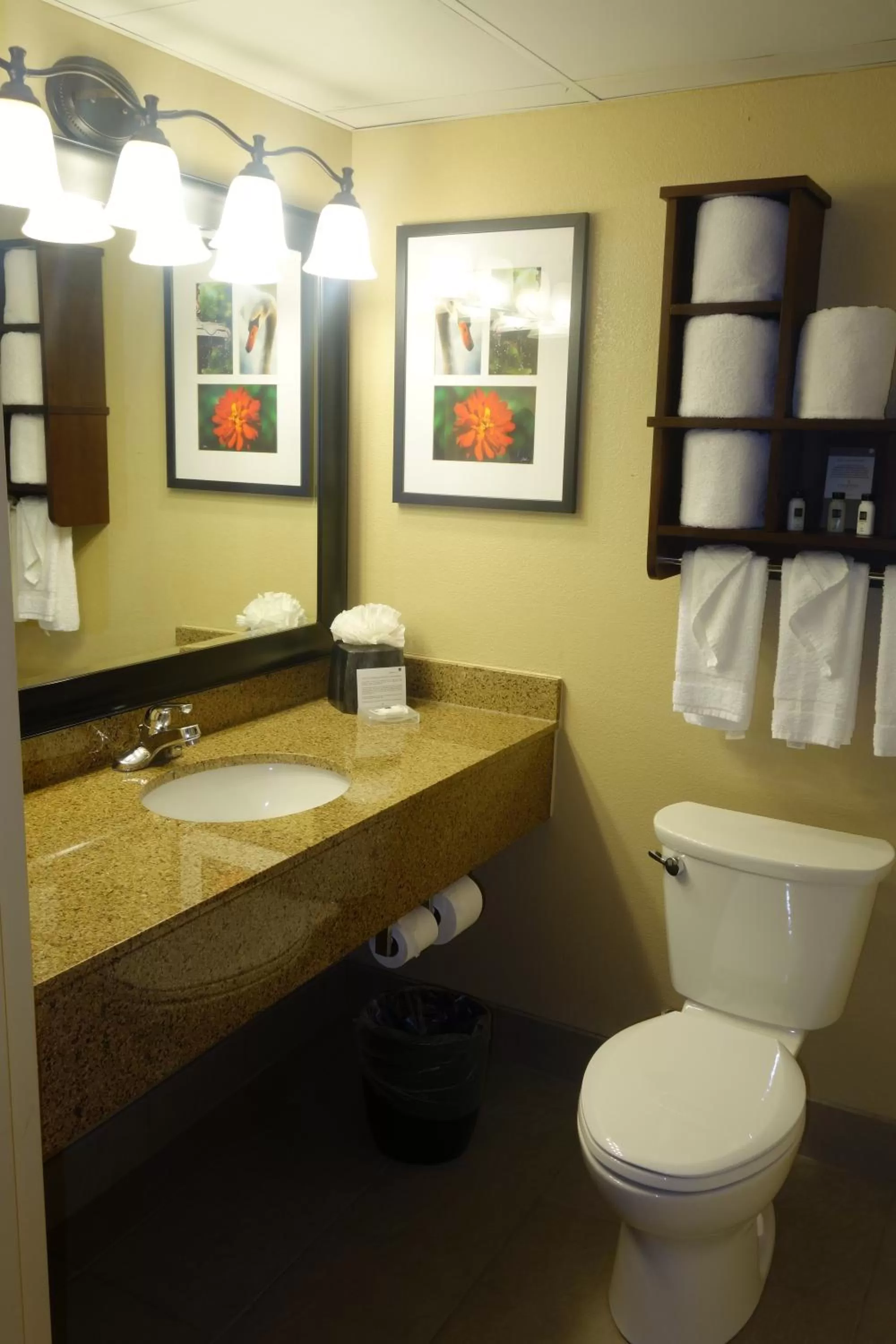Toilet in Country Inn & Suites by Radisson, Burlington Elon , NC