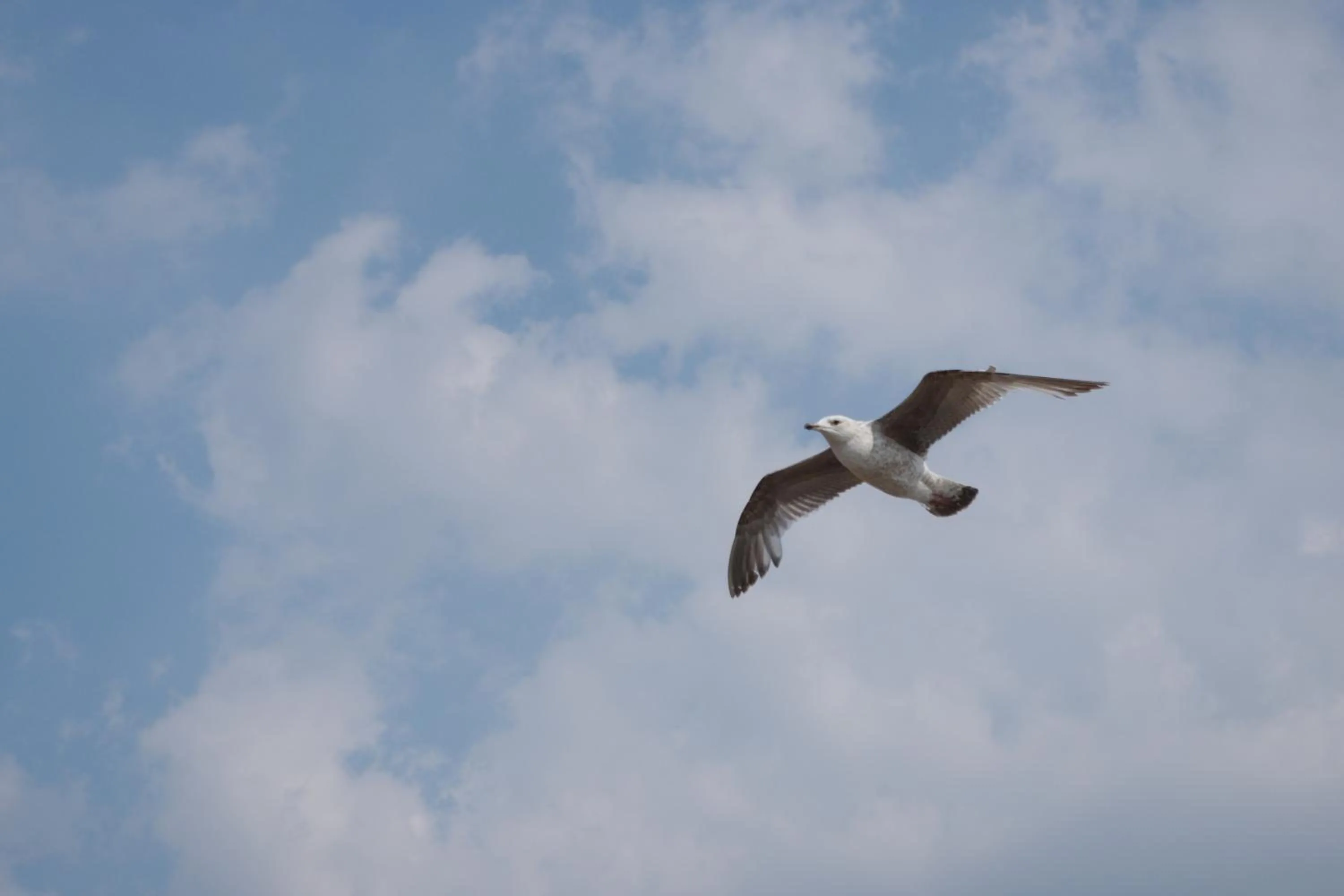 View (from property/room) in Dukes Folly Hotel