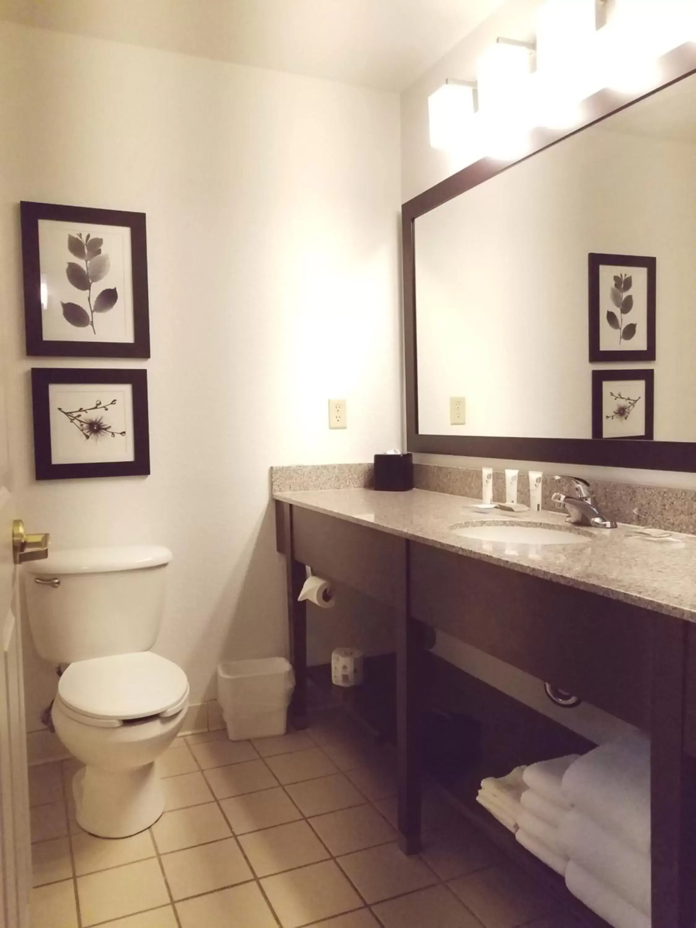 Toilet, Bathroom in Country Inn & Suites by Radisson, Willmar, MN