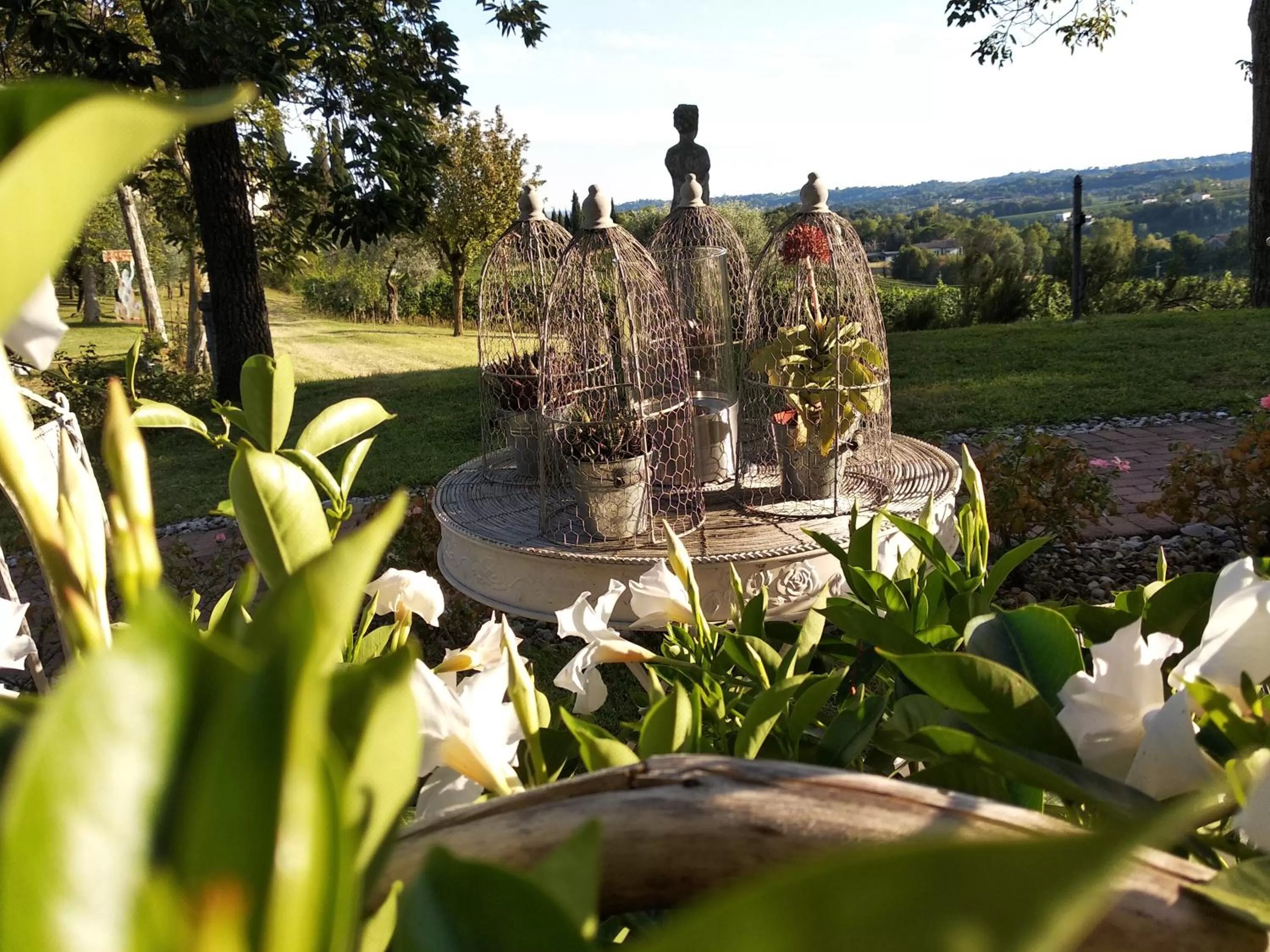 Garden in Alice Relais Nelle Vigne